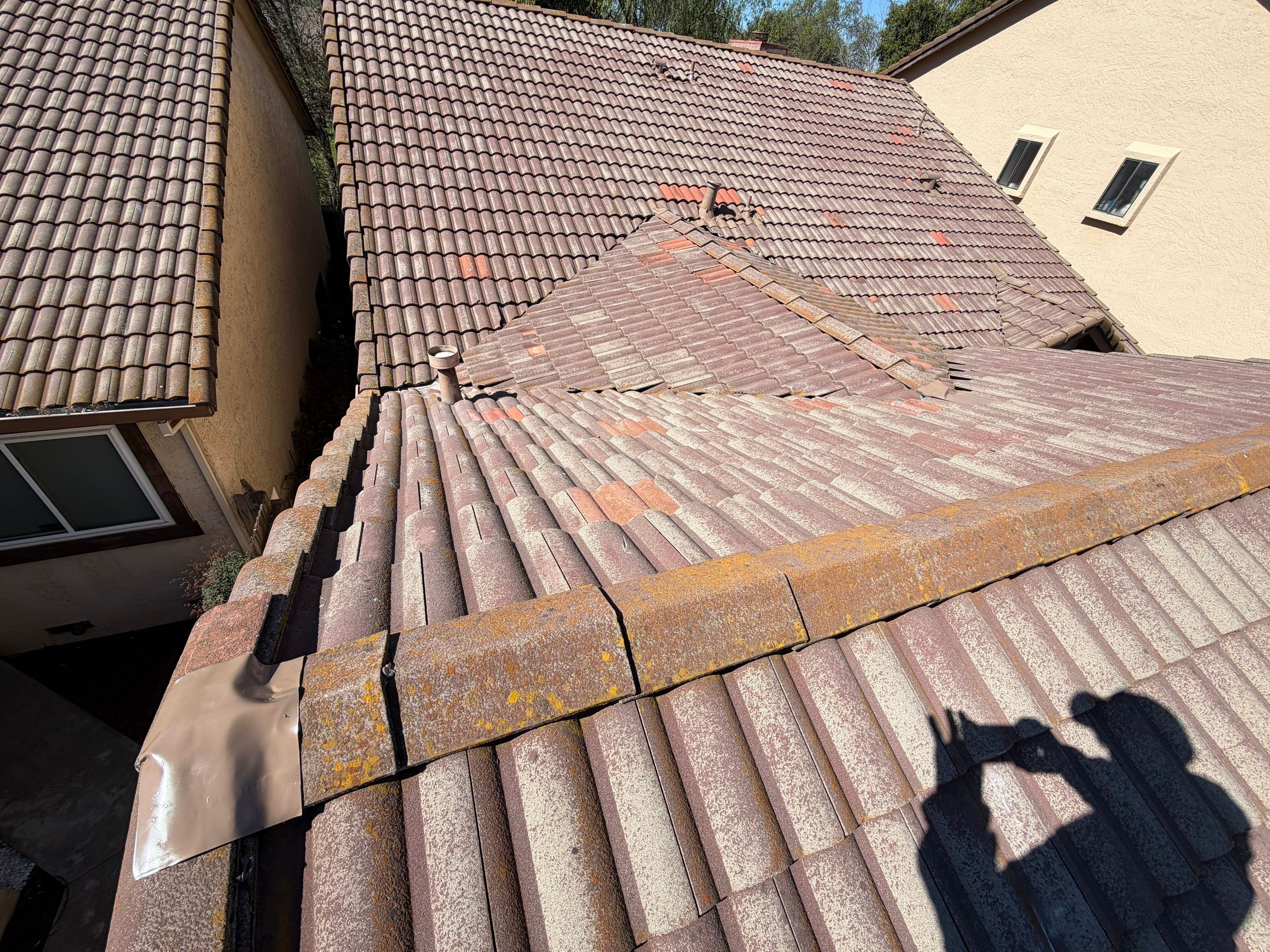 Project in Citrus Heights  by NuLead Construction Inc