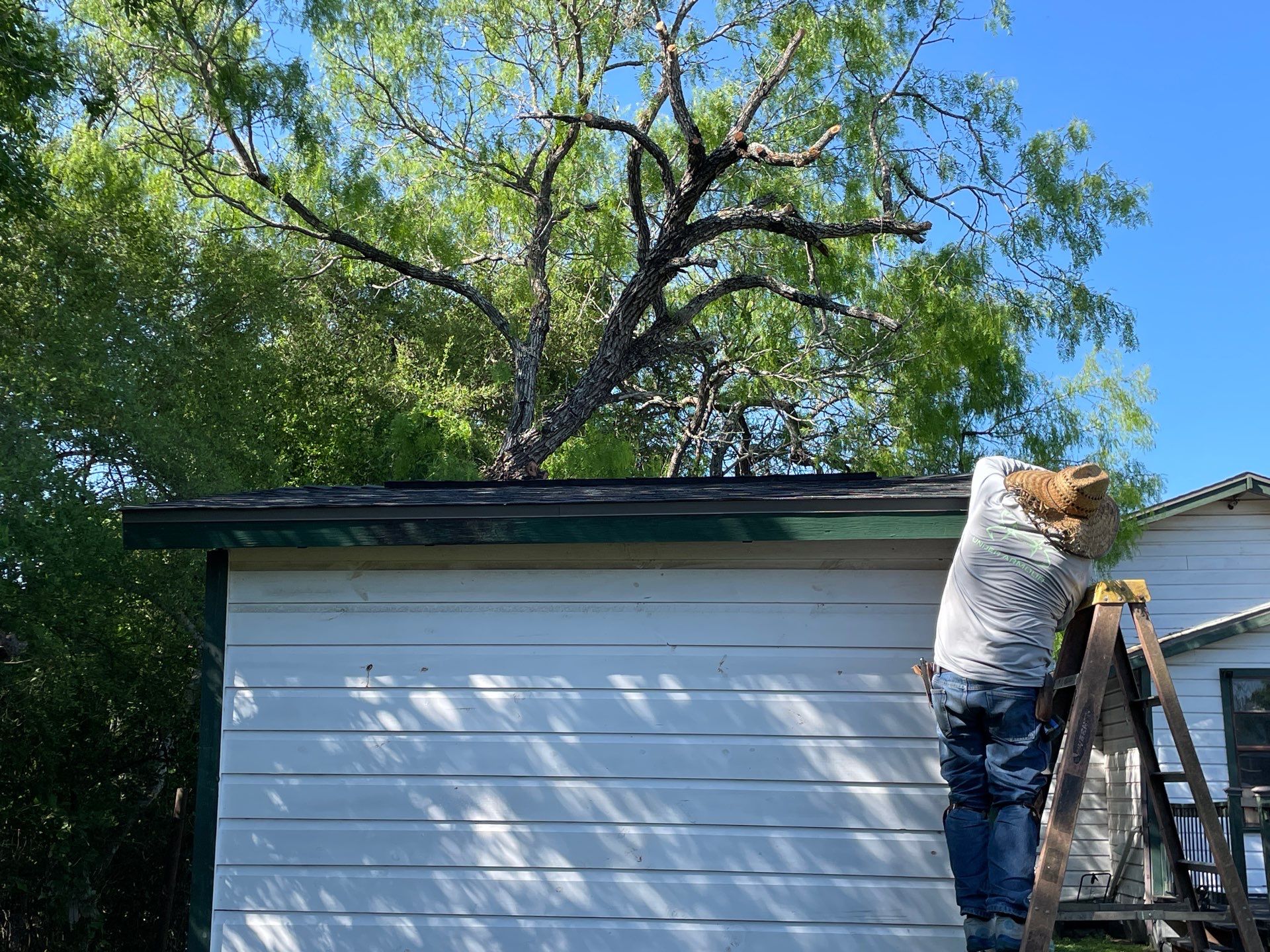 Alice Keeper by Bayfront Roofing and Construction