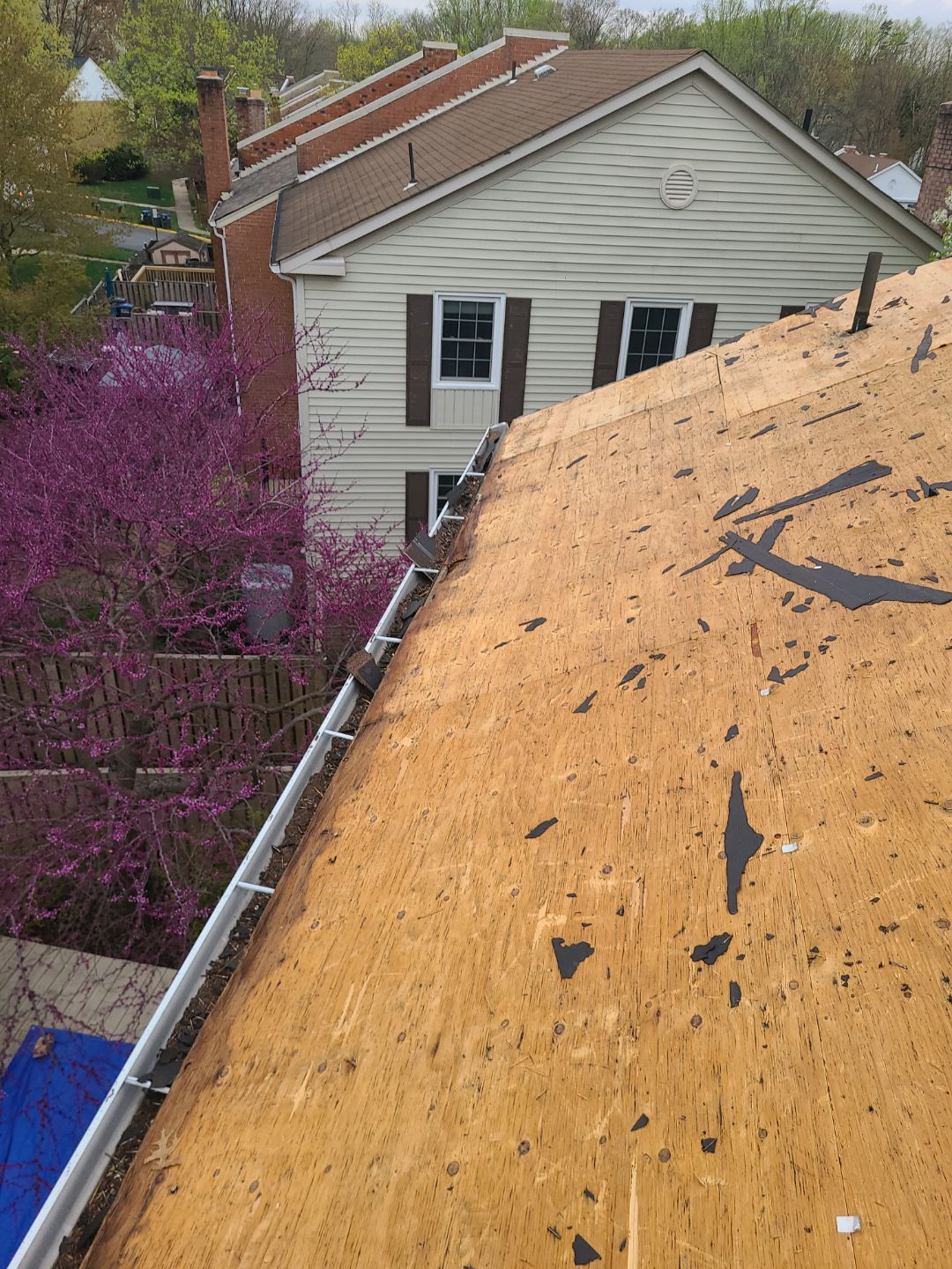 Springfield: Residential Roof Replacement with CertainTeed Landmark Pro in Max Def Red Oak by RM Banning, Inc.