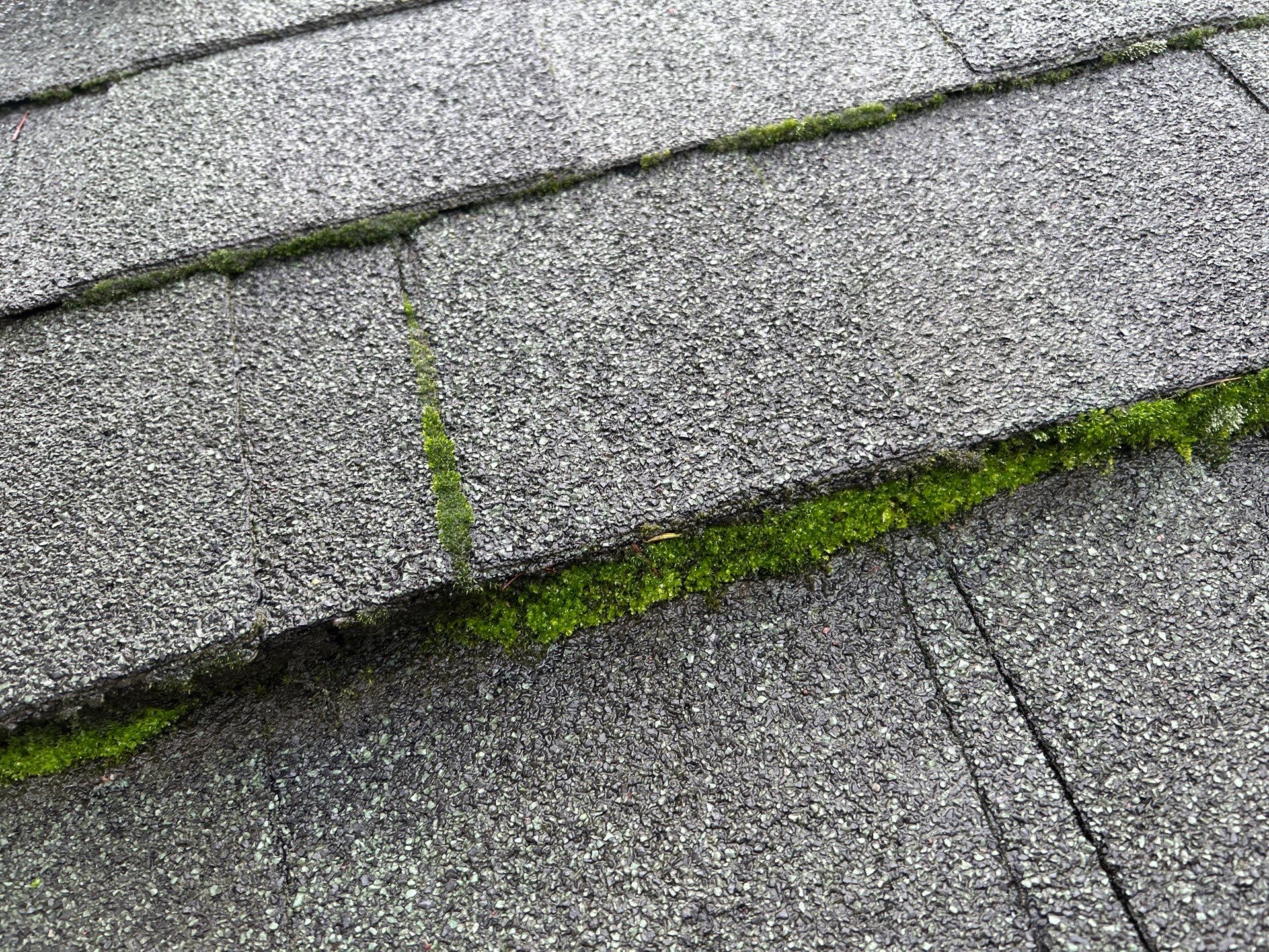 Project in Snohomish by Connolly Construction Company