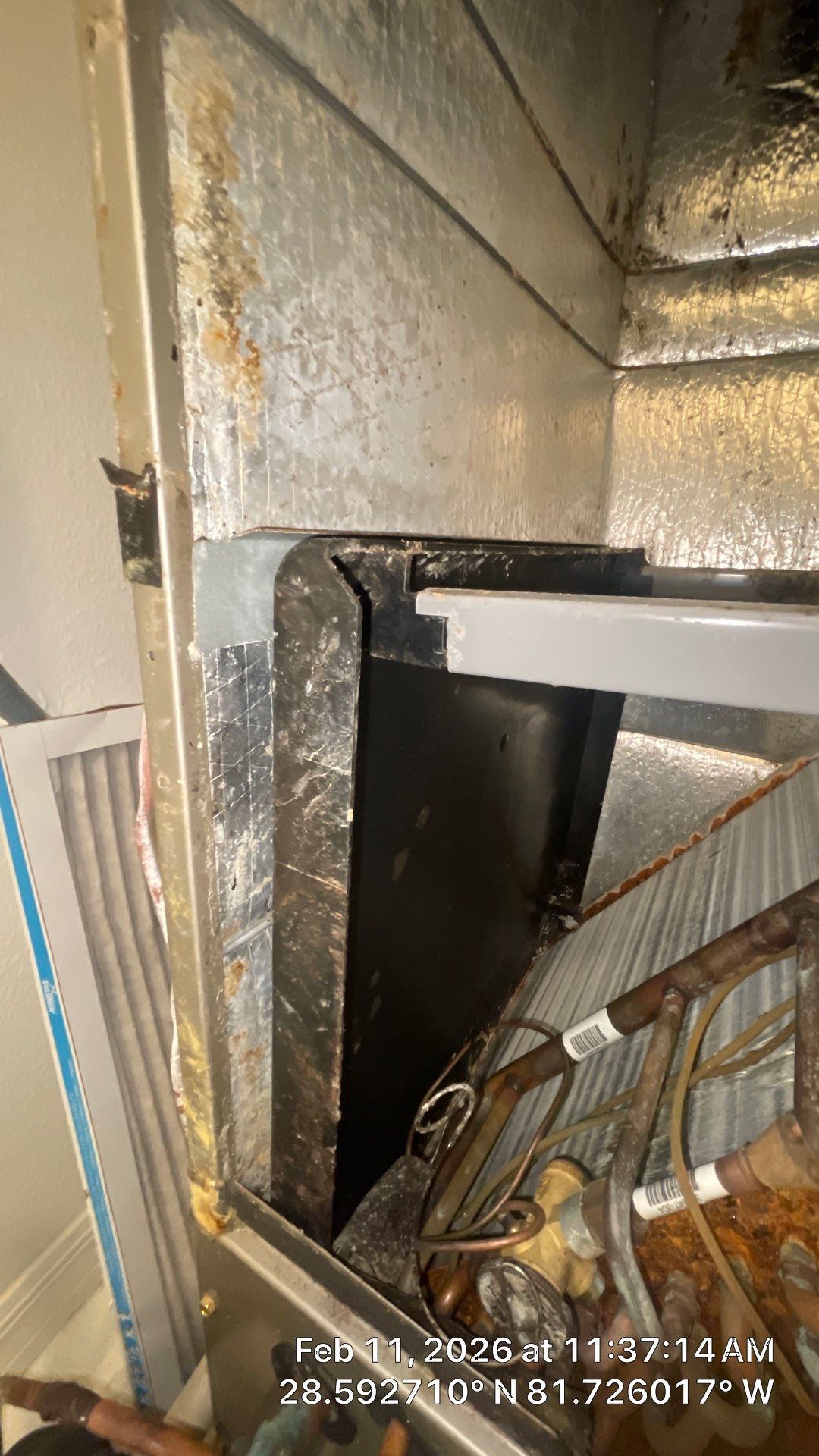 Air Duct Dryer Vent Cleaning in Minneola by Hygienic Air, Inc