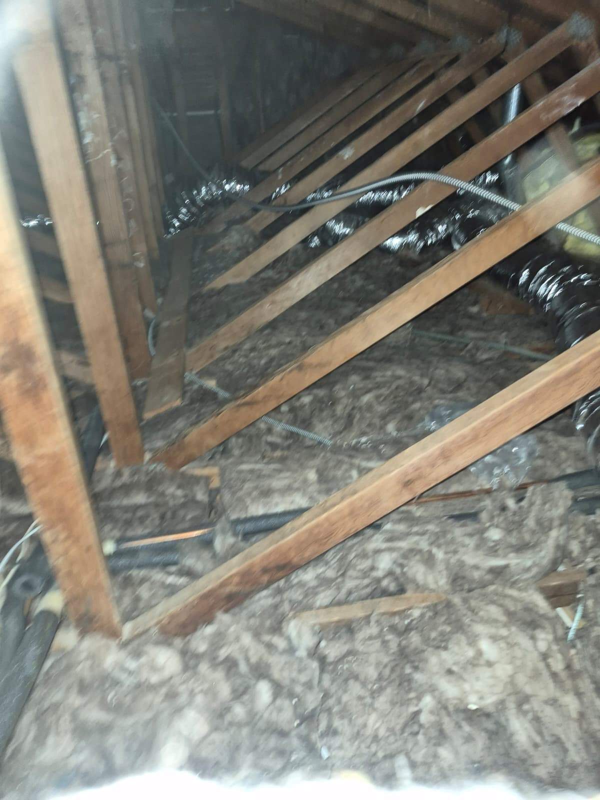 Project by Advanced Attic Solutions by Advanced Attic Solutions