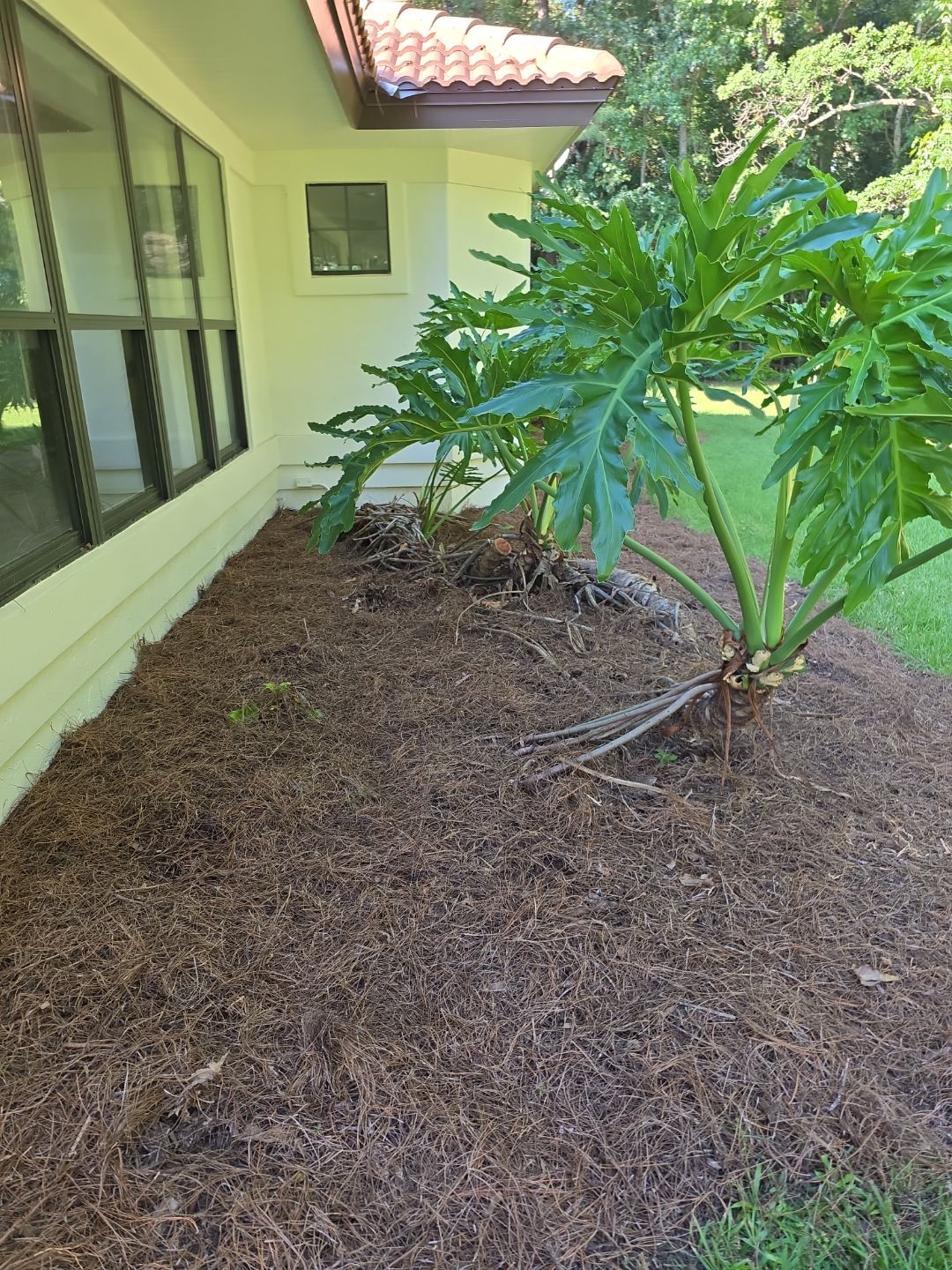 Deerwood Resident | Landscape Update by ProGreen Services