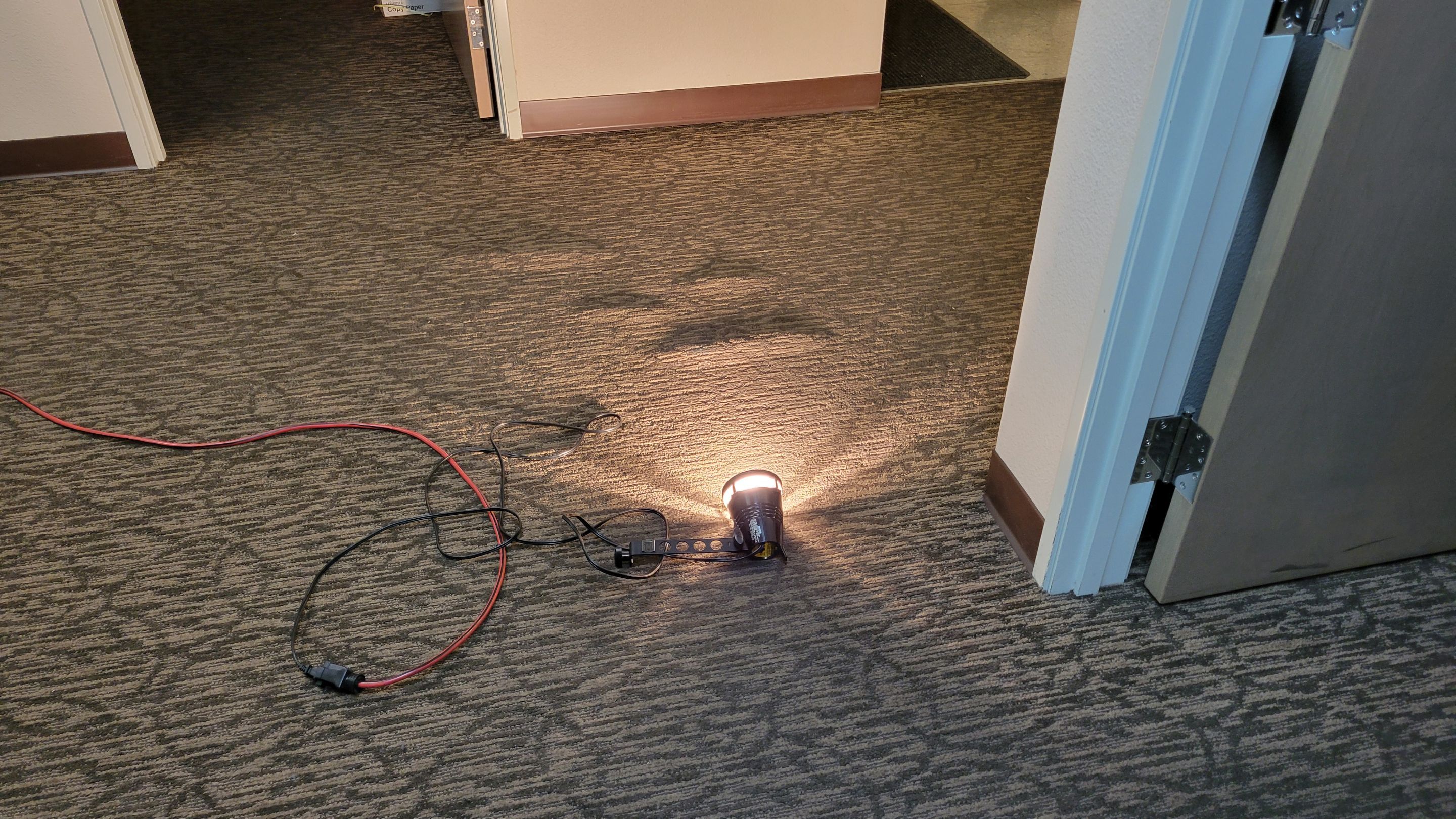 Buckled Commercial Glue Down Carpet by Ardent Carpet Restore LLC