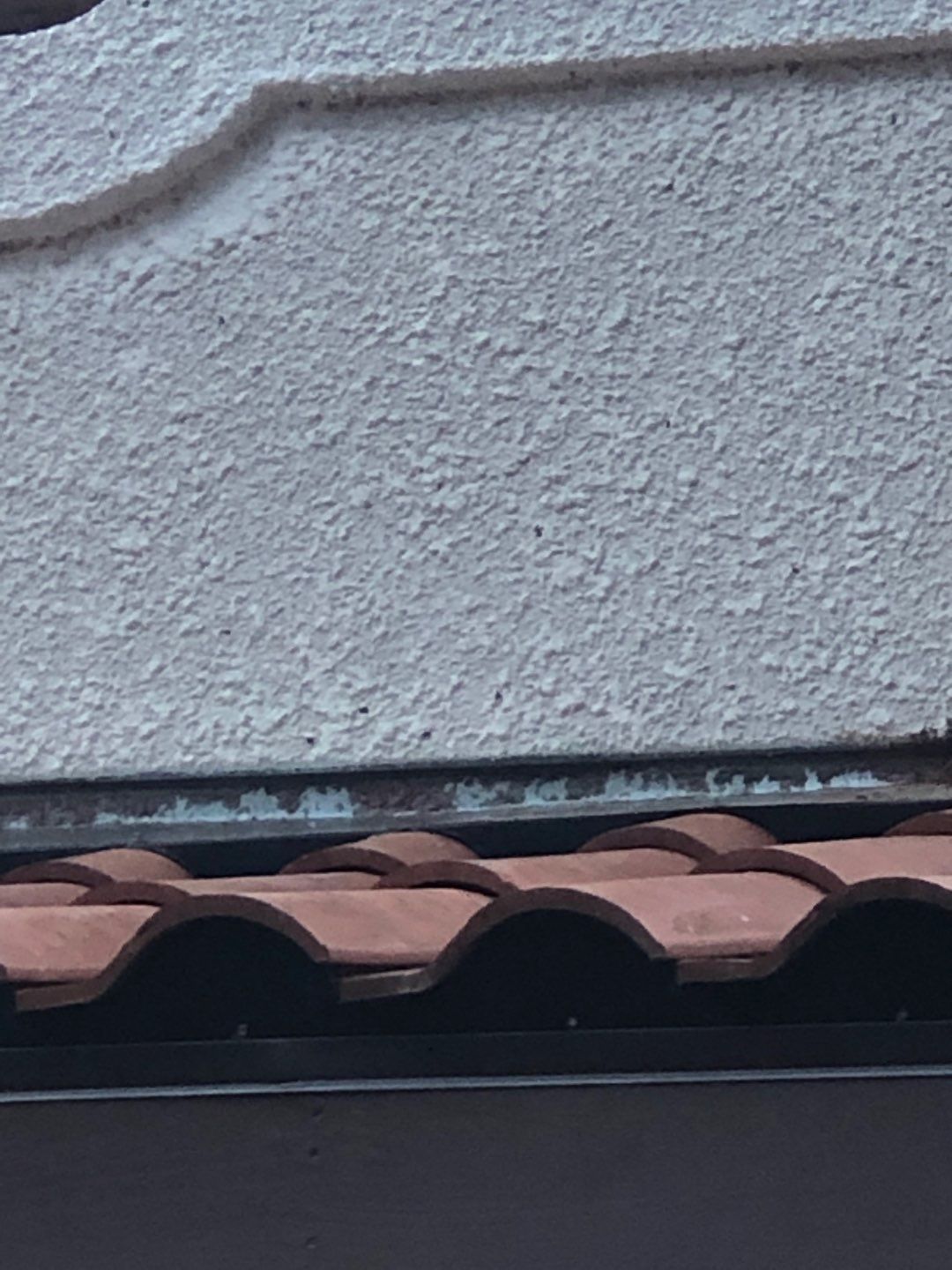 Tile roof project by Springtree Restoration 