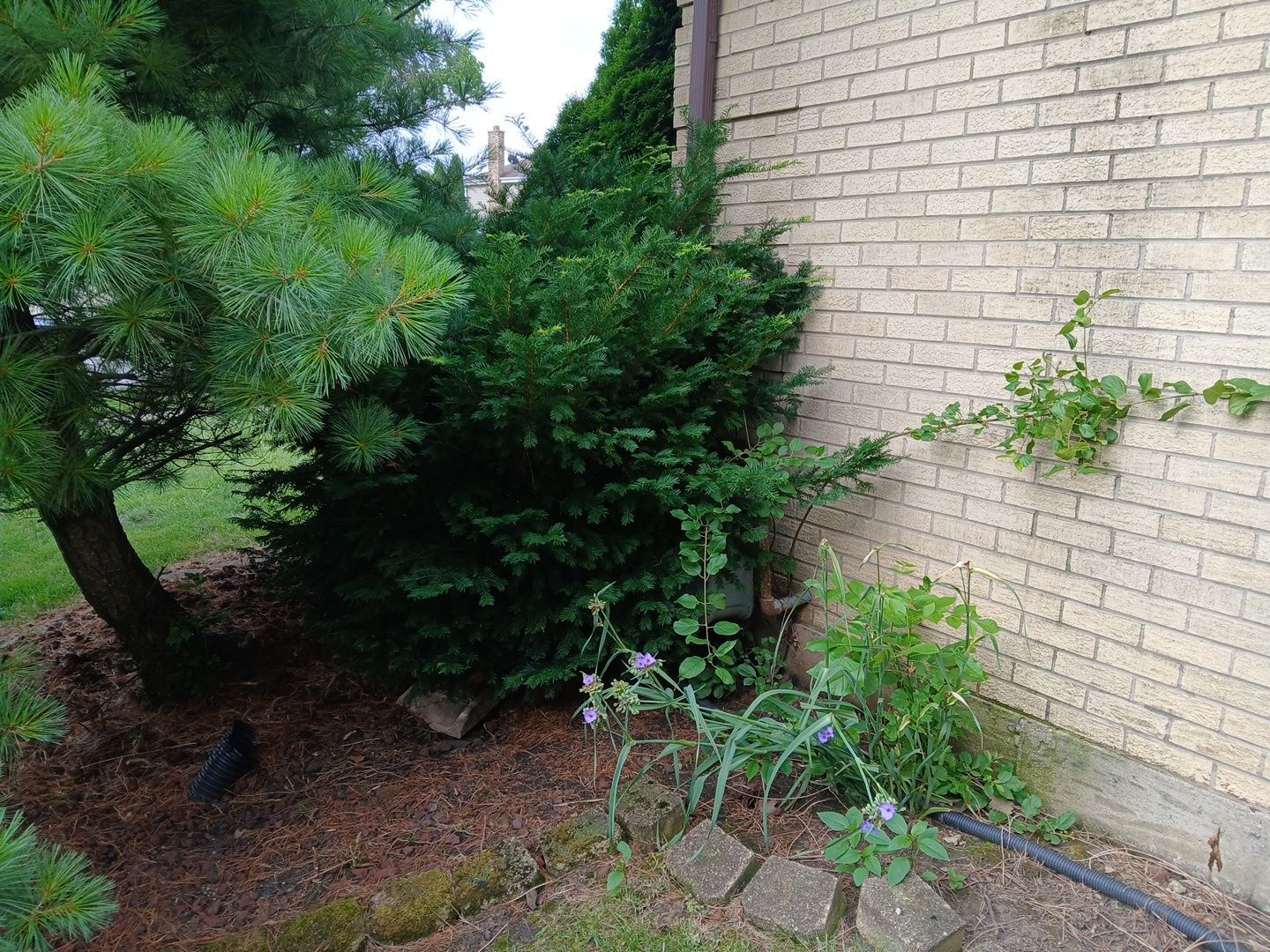 Andrew L. - Arlington Heights, IL by A&N