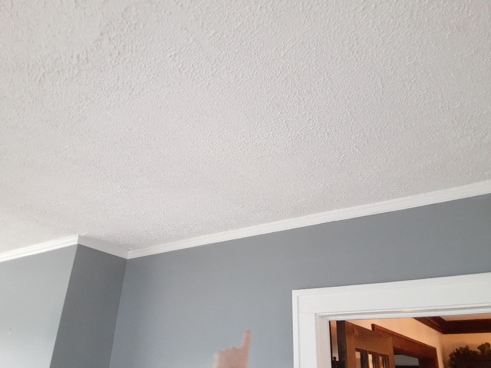 Residential Roof Replacement using Patio Roof by Absolute Roofing and Construction