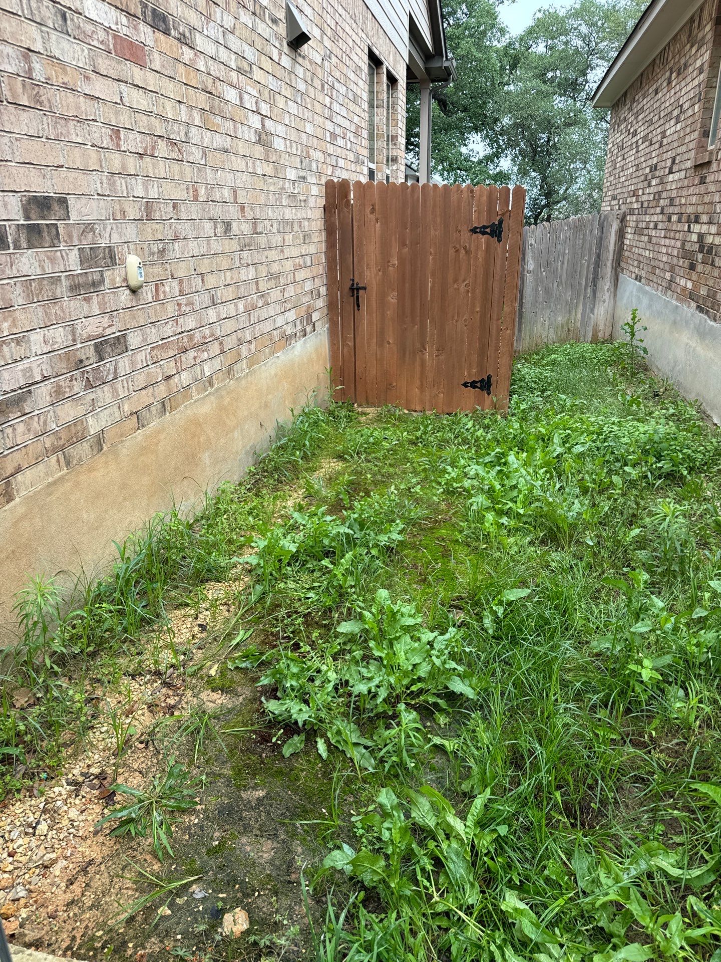 Wortham Oaks - San Antonio, TX by Hole In One Lawns, LLC