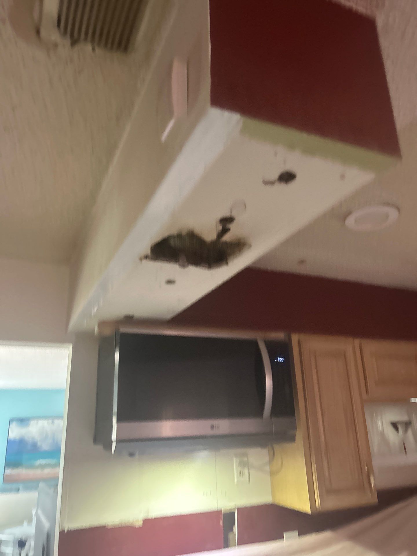 Kitchen Renovation  by urban green energy llc