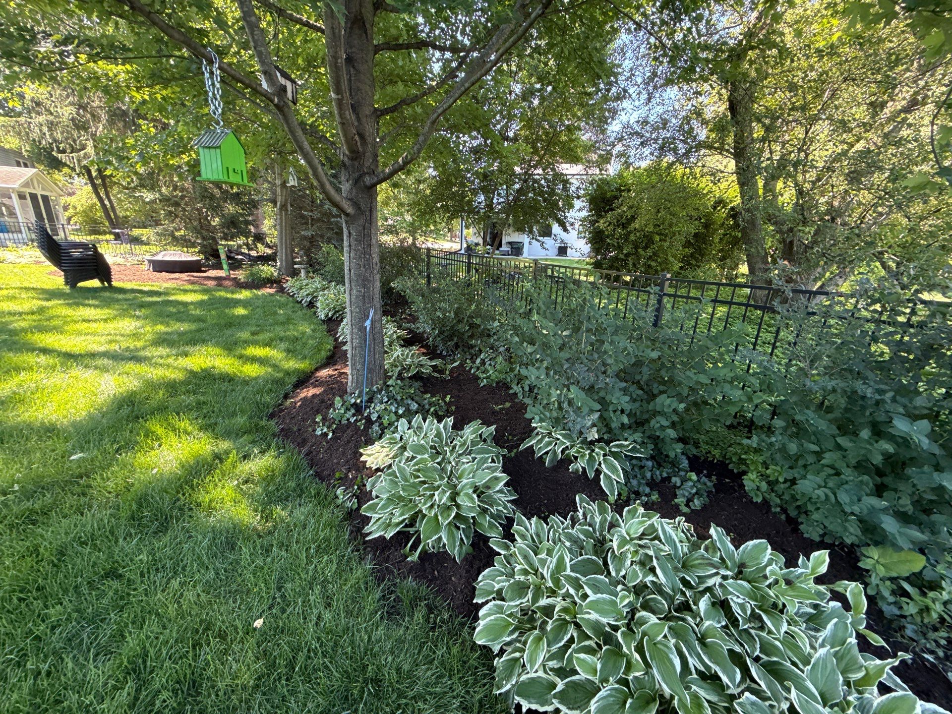 Lesley D. - Arlington Heights, IL by A&N 