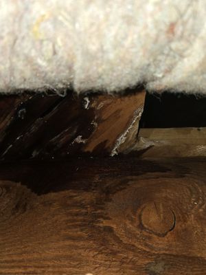 Checking for Water Leaks, Installing New Piping, and Testing Water Flow