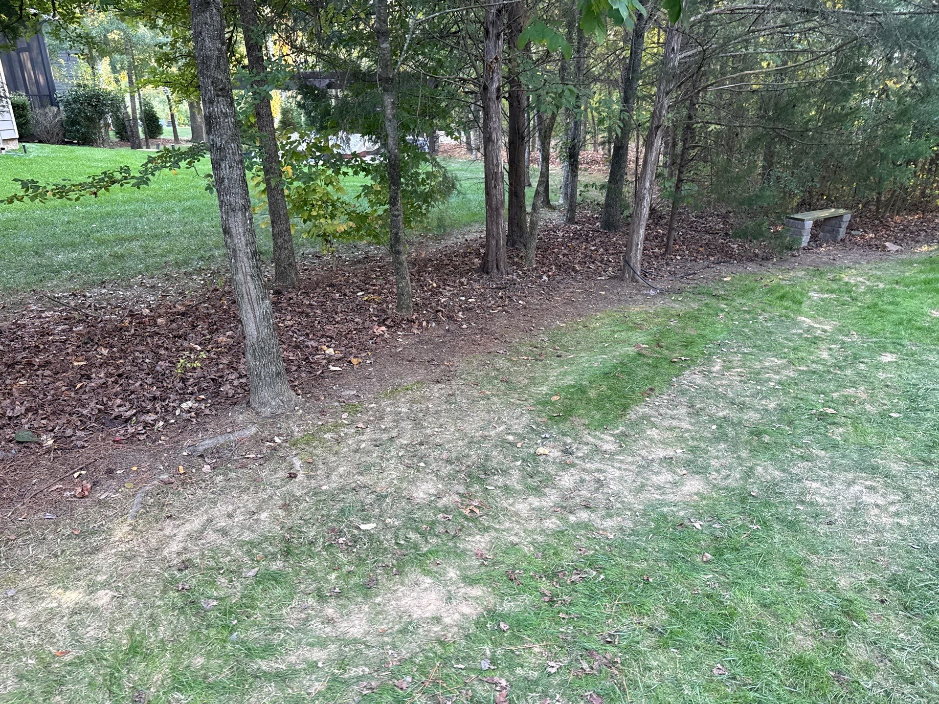 Project in Matthews by Badger Hauling