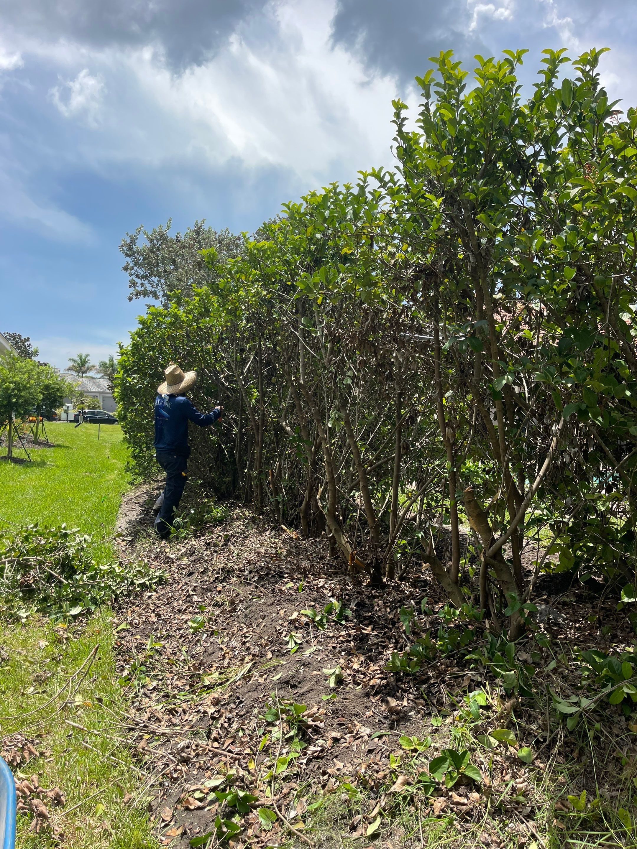 Bradenton, FL 4ft. Tall 3-Rail Black Aluminum Fence by Asap fence and gates, LLC
