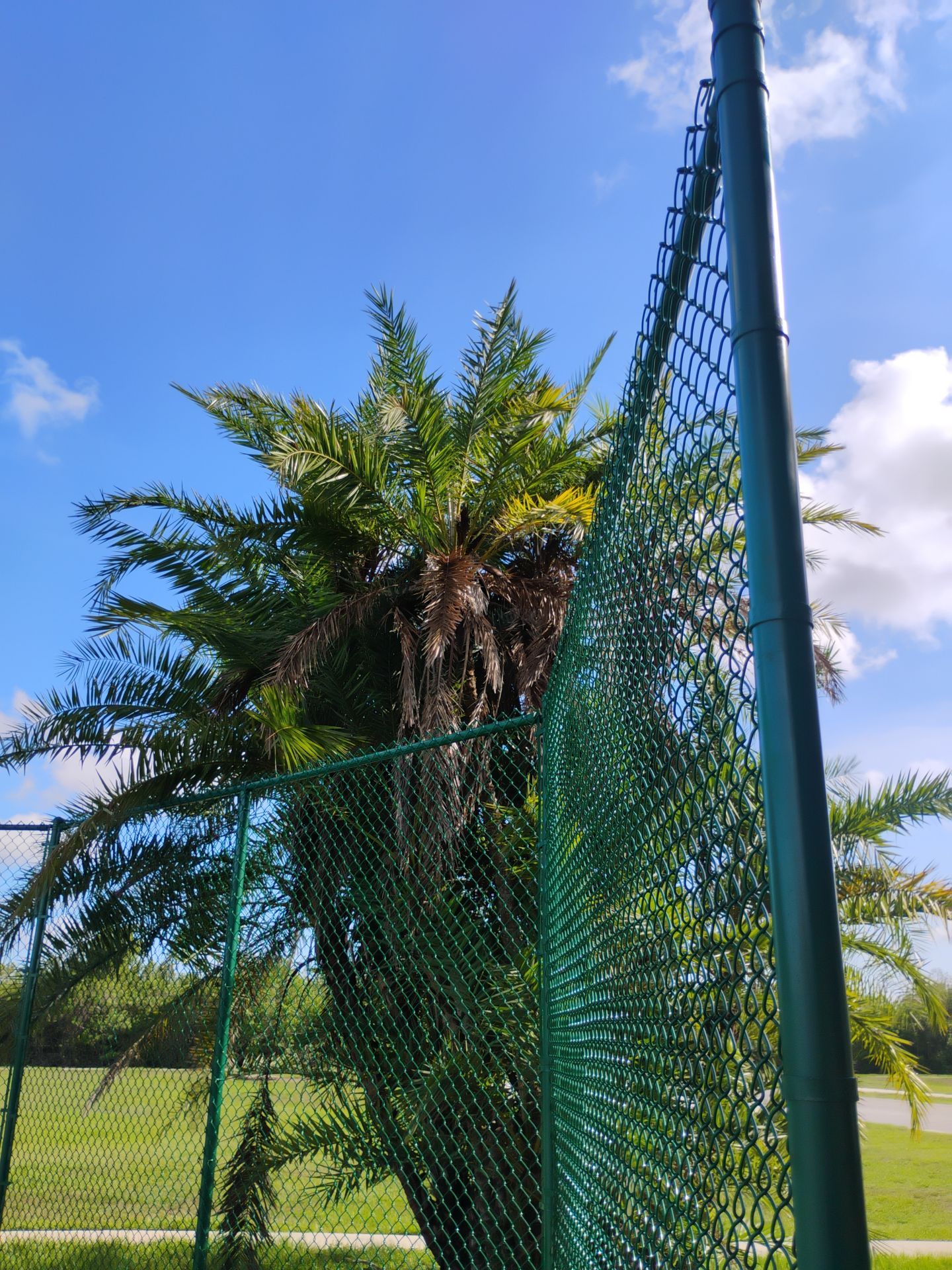 Commercial Tennis Court Chain Link Fence Repair in Sarasota by True Fence LLC