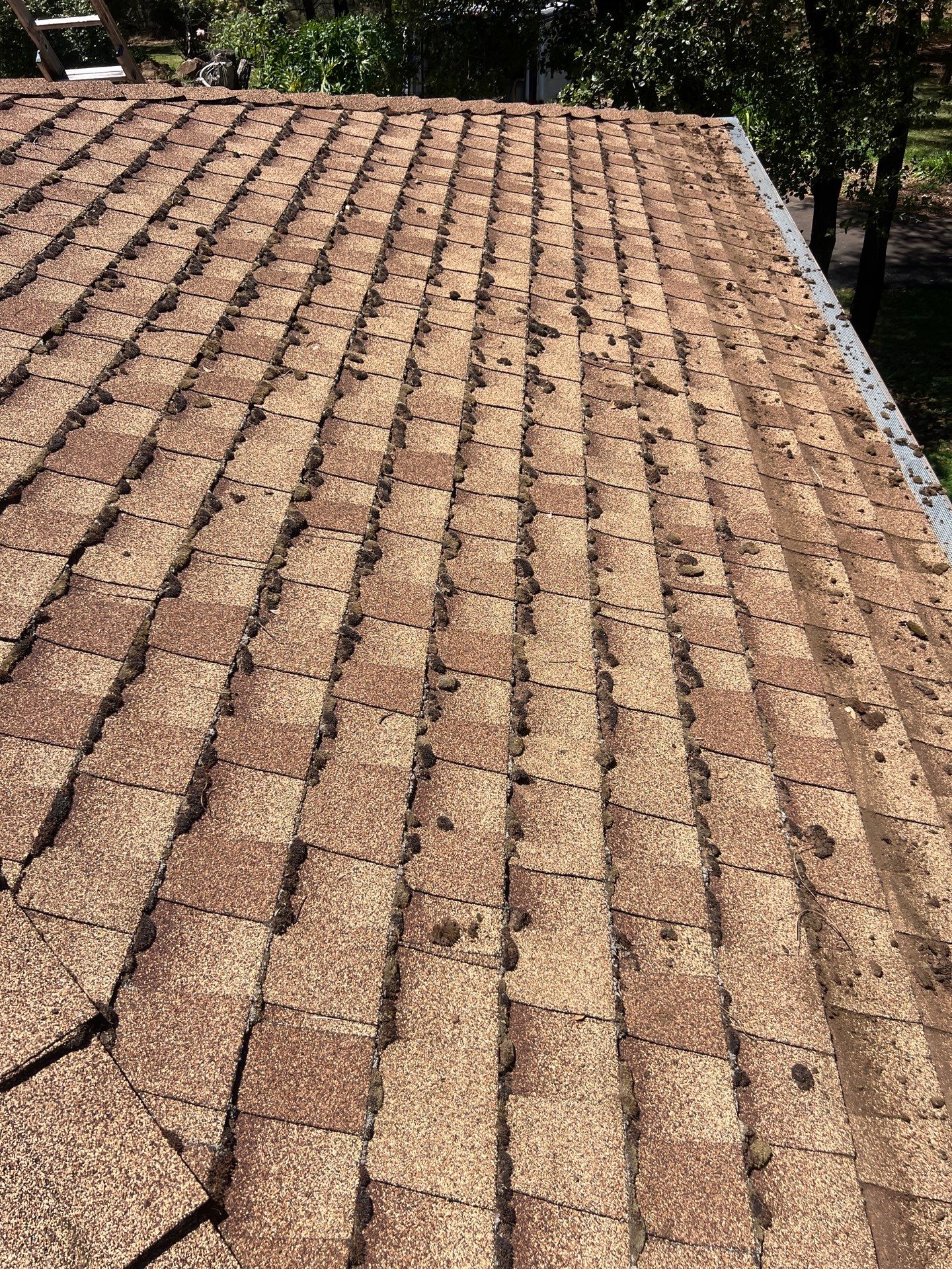 Roof Rejuvenation using Roof Maxx Treatment by Roof Maxx of Folsom