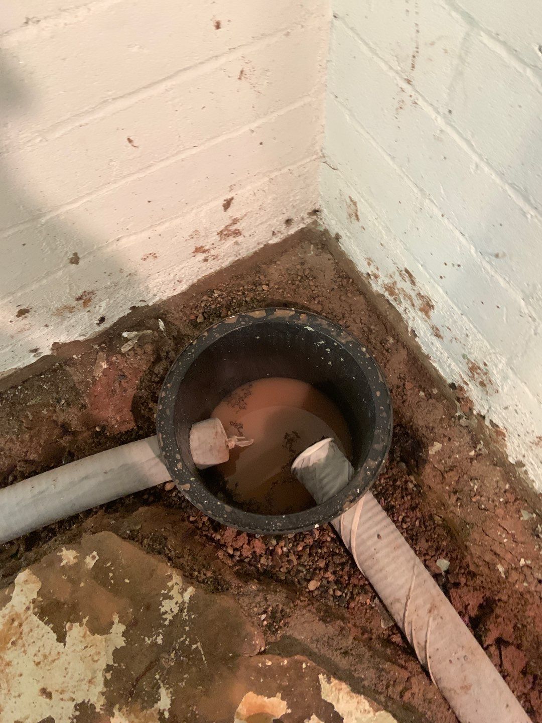Helping Diane Protect Her Home by Waterproofing Northeast