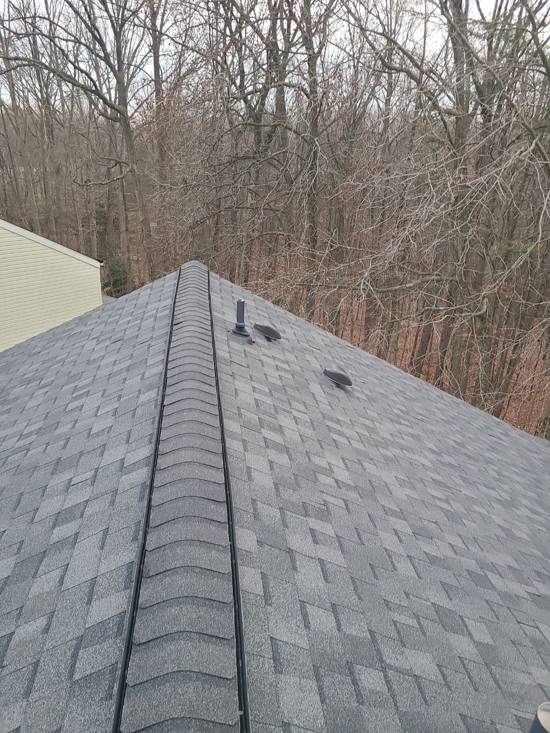 Alexandria CertainTeed Landmark Pro Roof in Max Def Pewterwood  by RM Banning, Inc.