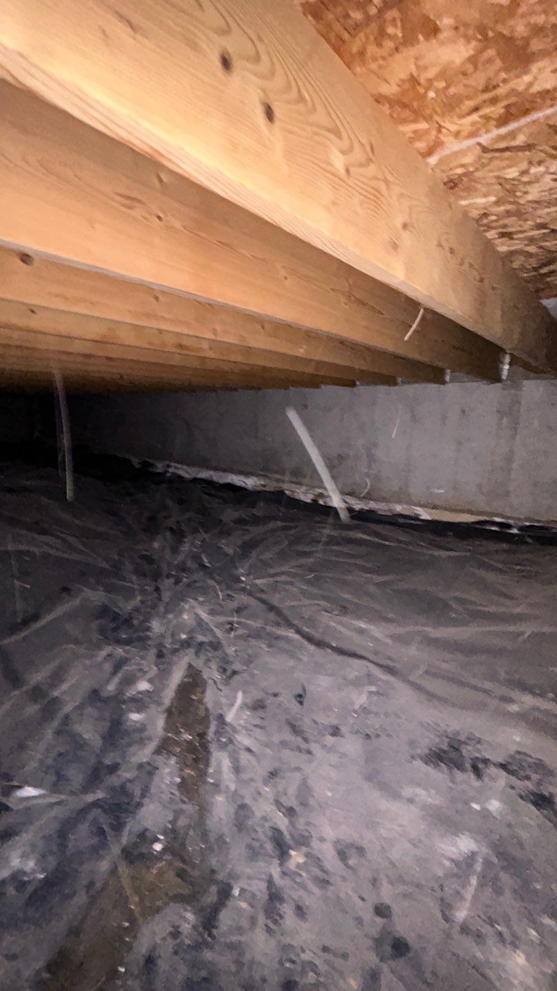 Mold Damage by Accountable Home Services