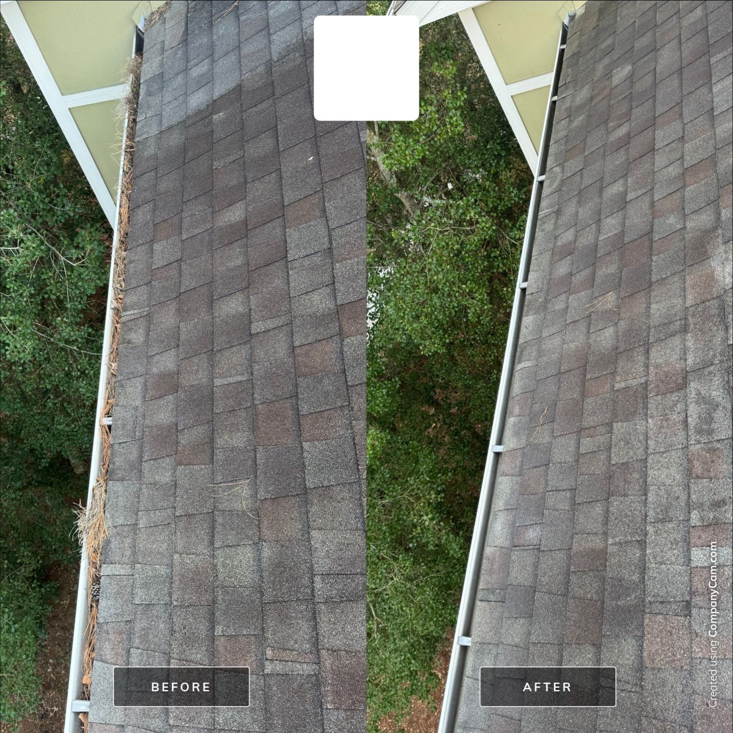 Apartment Gutter Cleaning by Shark Power Washing
