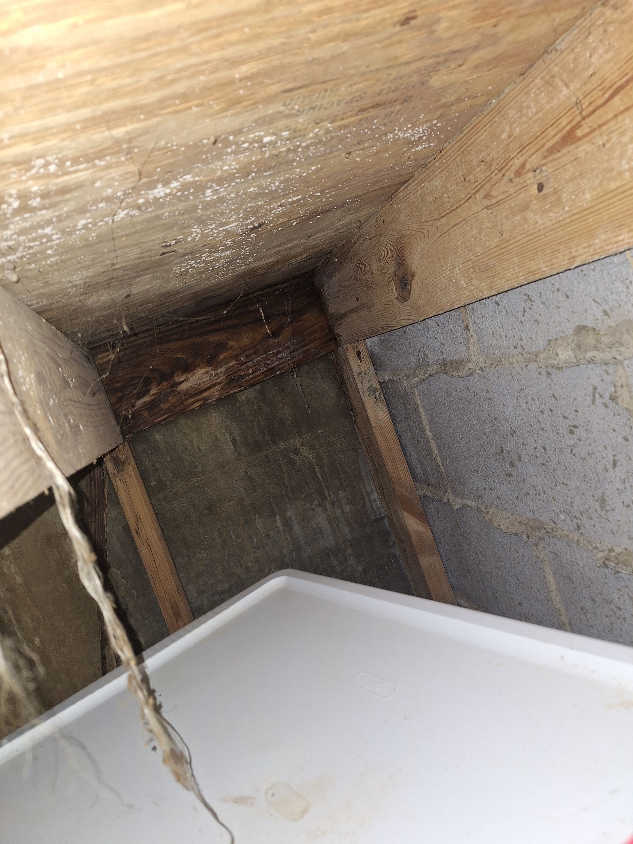 Basement Remediation by ANR Restoration
