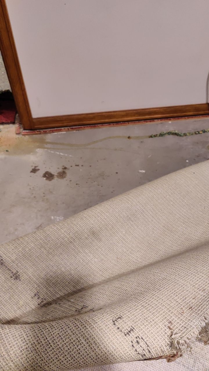 Water Damage  by Accountable Home Services