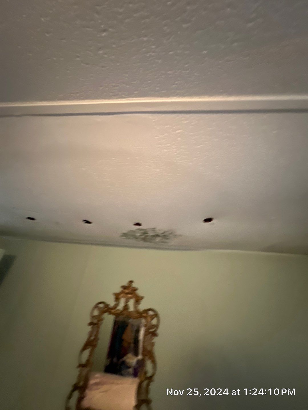 Mold Remediation Palmetto by Ampm Restoration Services