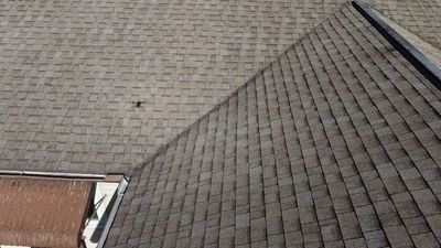 Shingle Reroof Replacement Edgewater FL