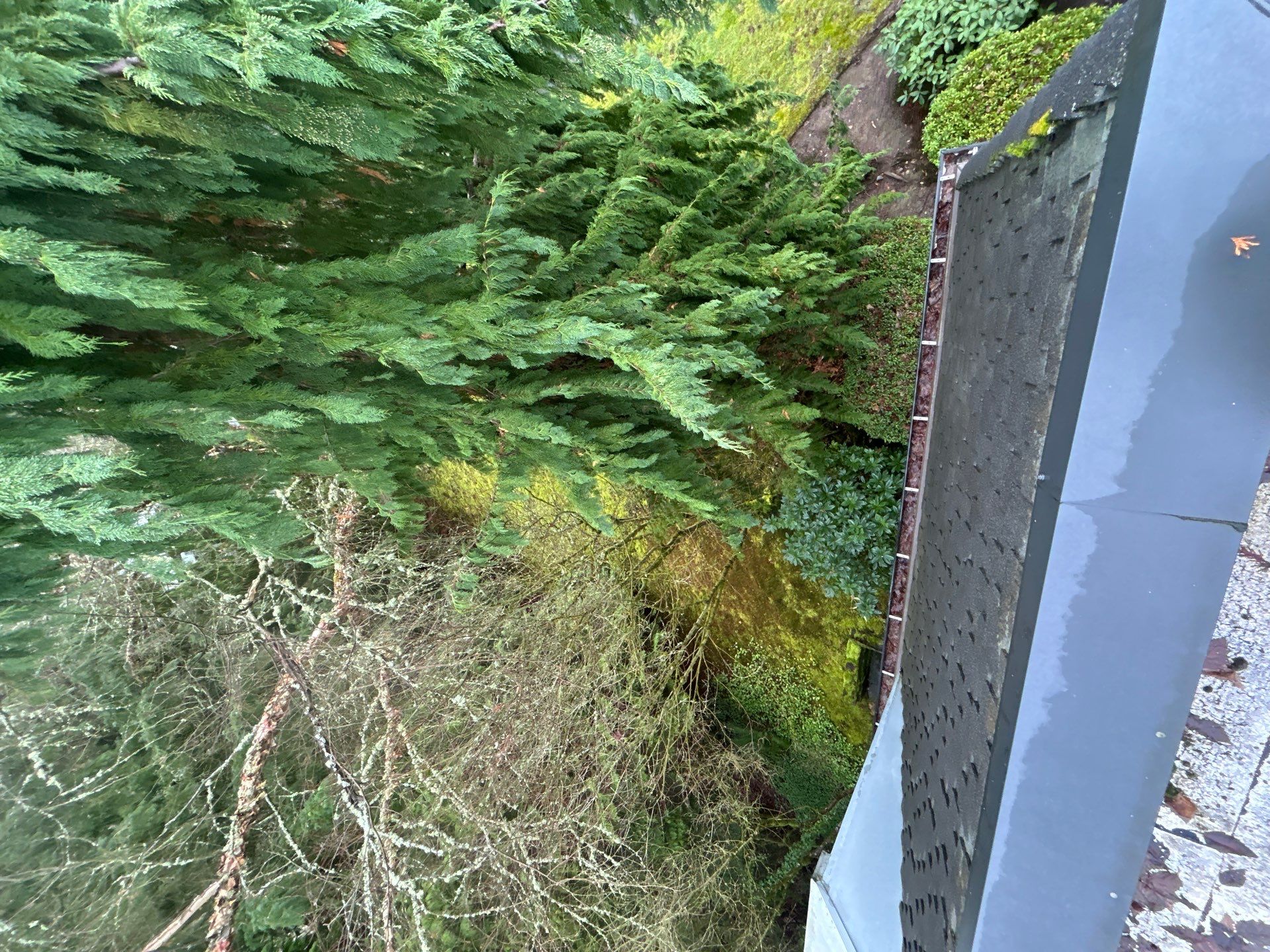 Project in Kirkland by Peaks and Valleys Construction