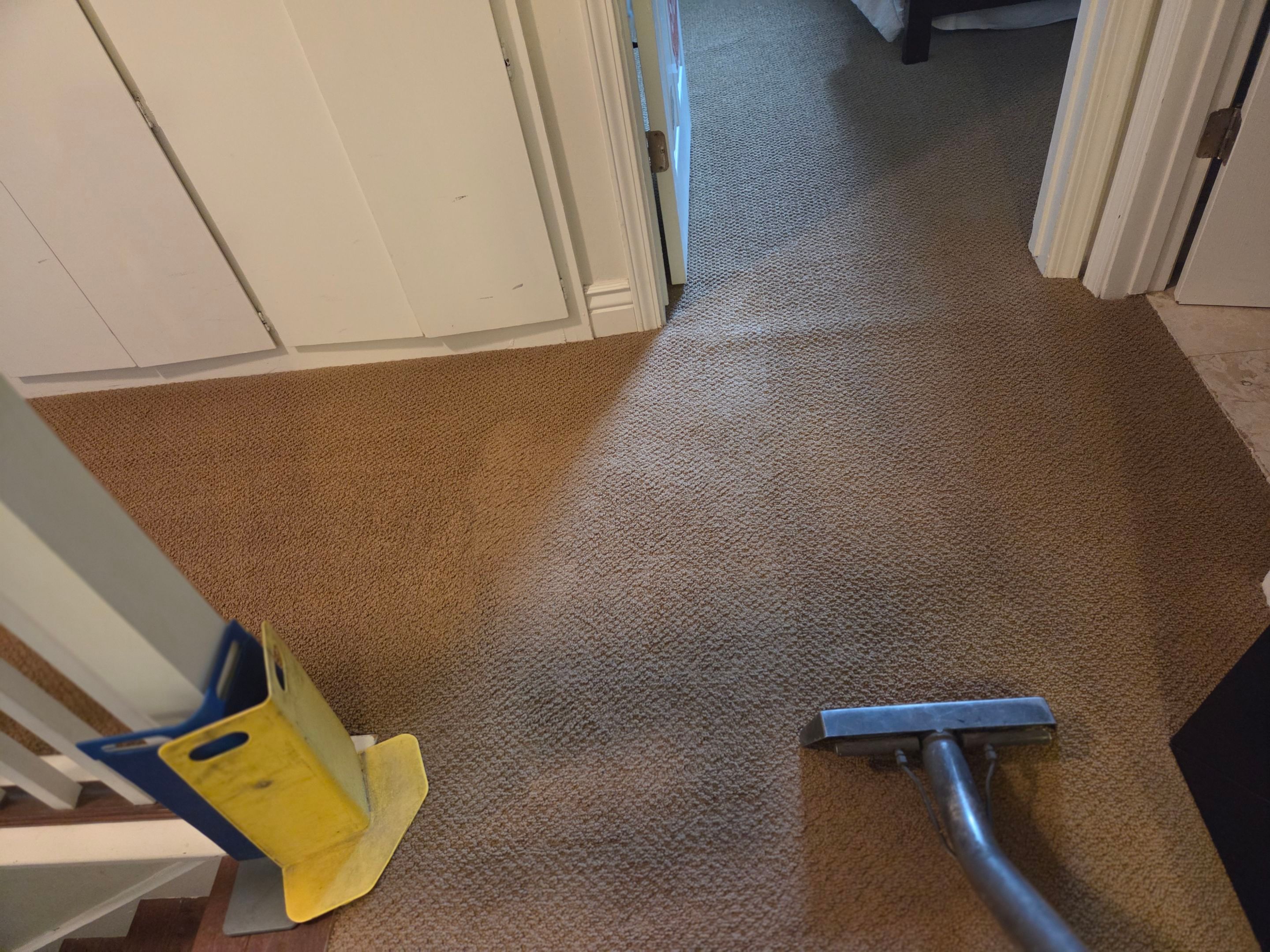 Carpet Cleaning in Folsom by Ardent Carpet Restore LLC