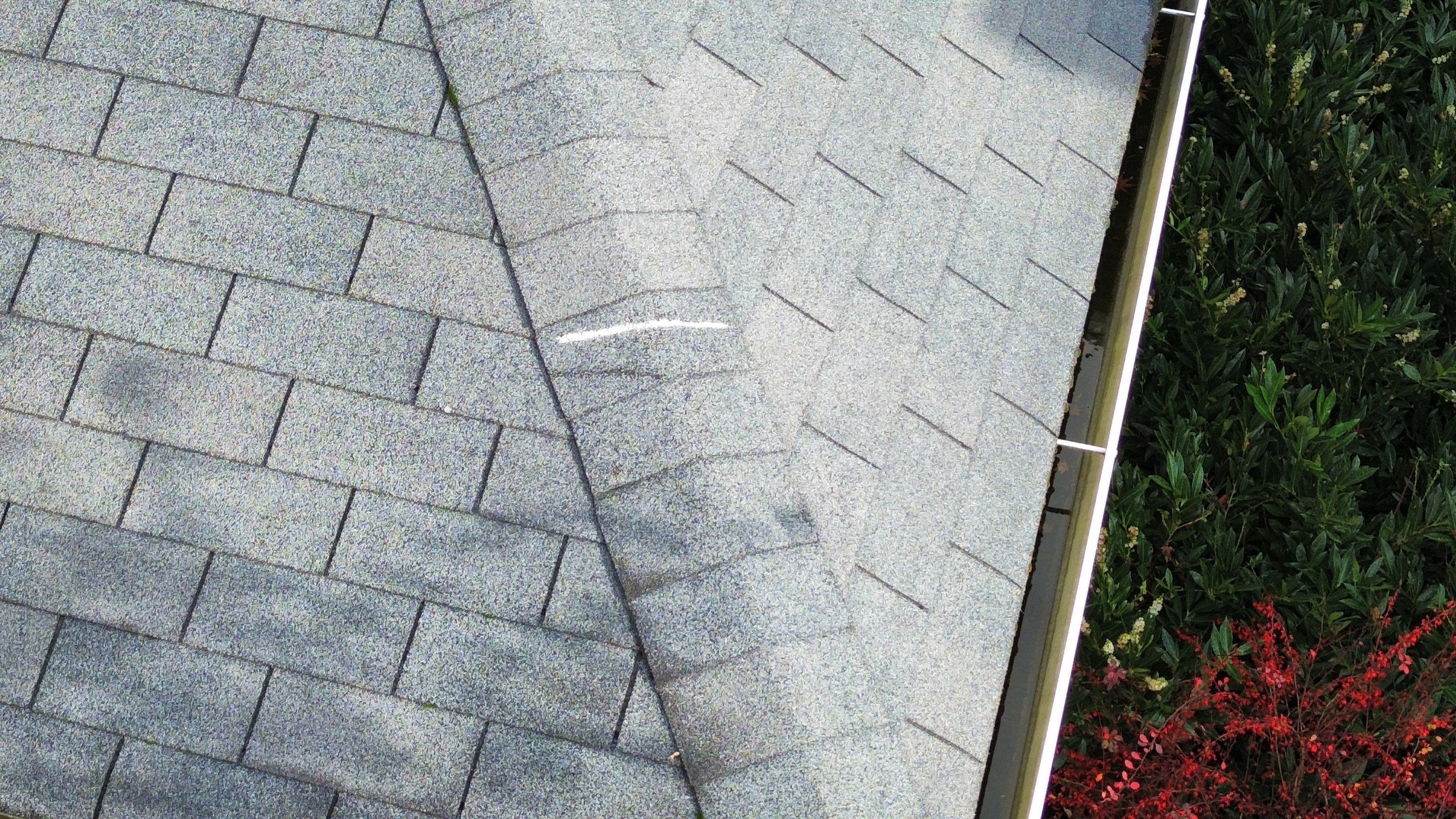 GAF Timberline NS, Charcoal  by Proline Roofing & Restoration LLC