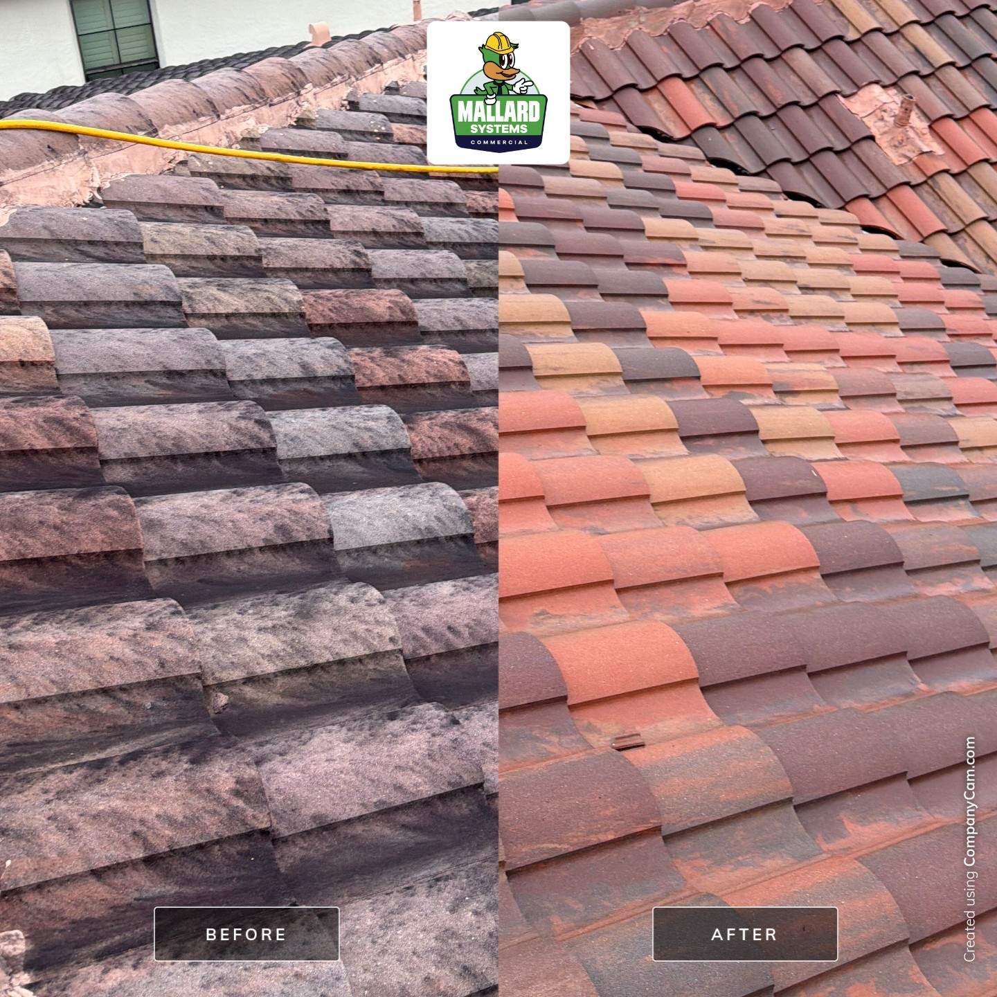 Residential Tile Roof Cleaning in Windermere by Mallard Systems
