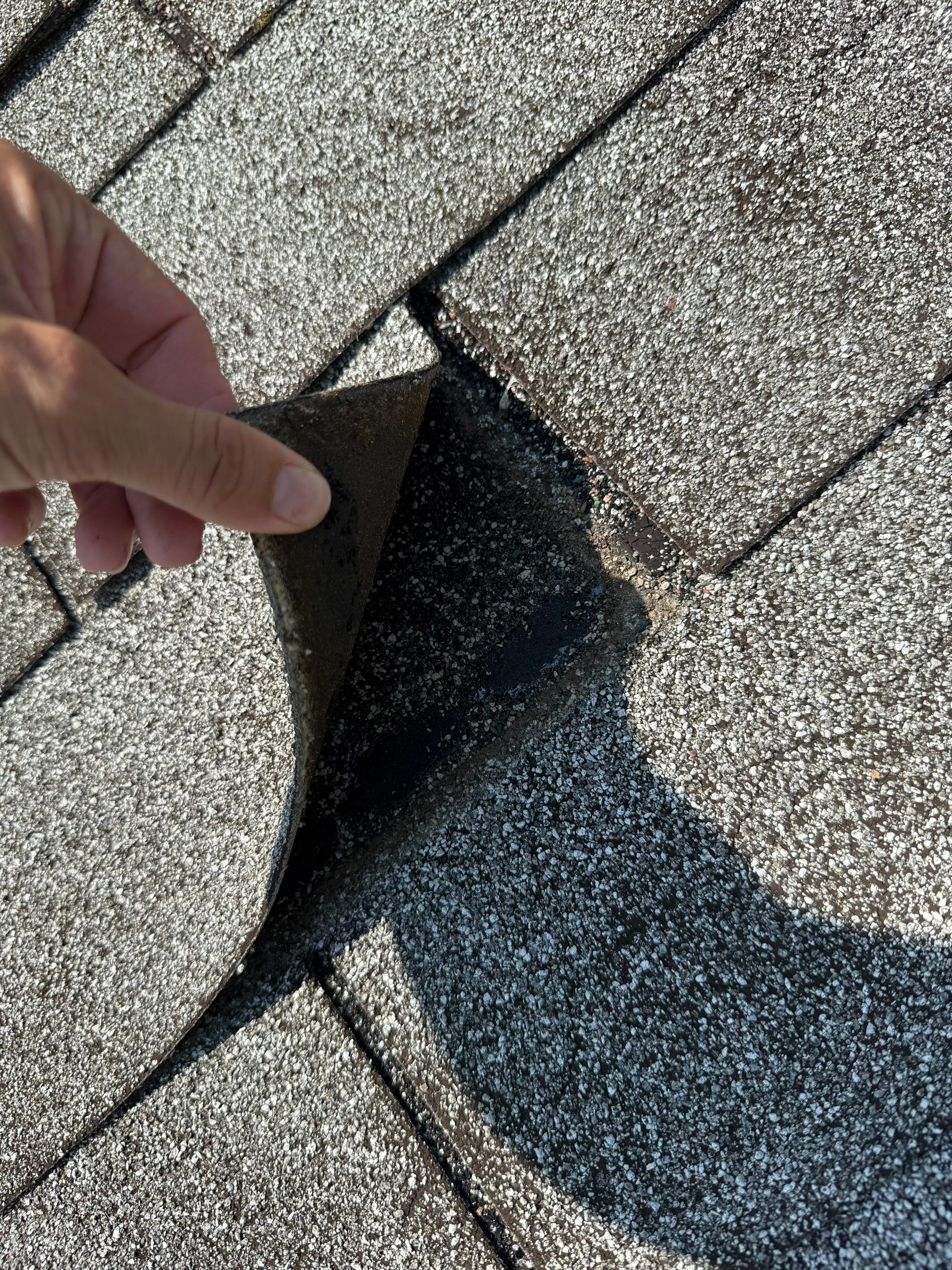 Onyx Black Roof Transformation in Maynard, MA by Mighty Dog Roofing of Greater Middlesex County