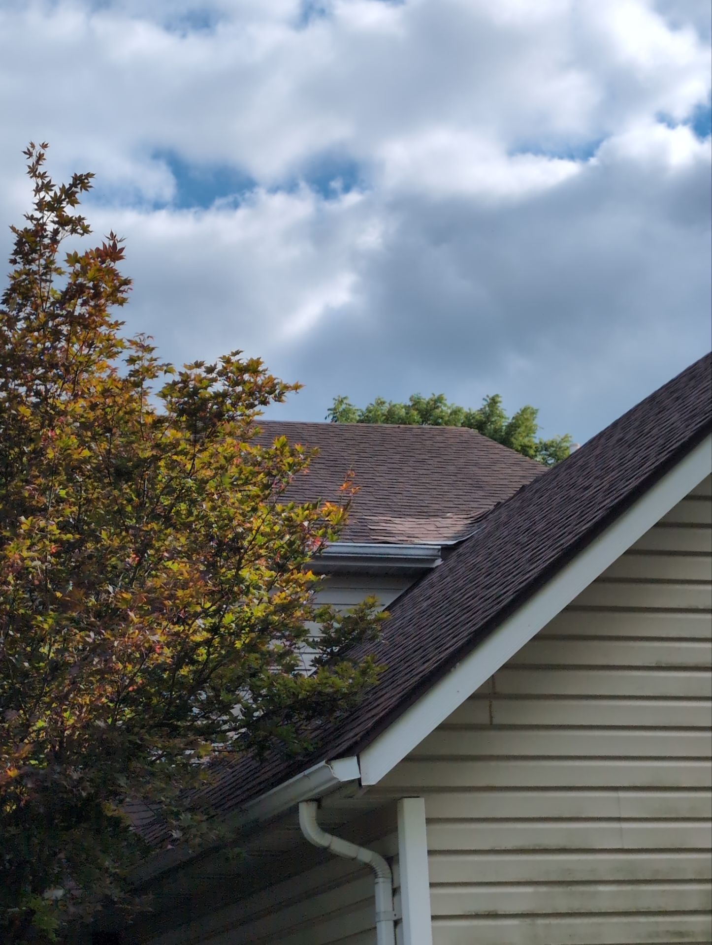 Elevated Roofing & Siding featured photo.