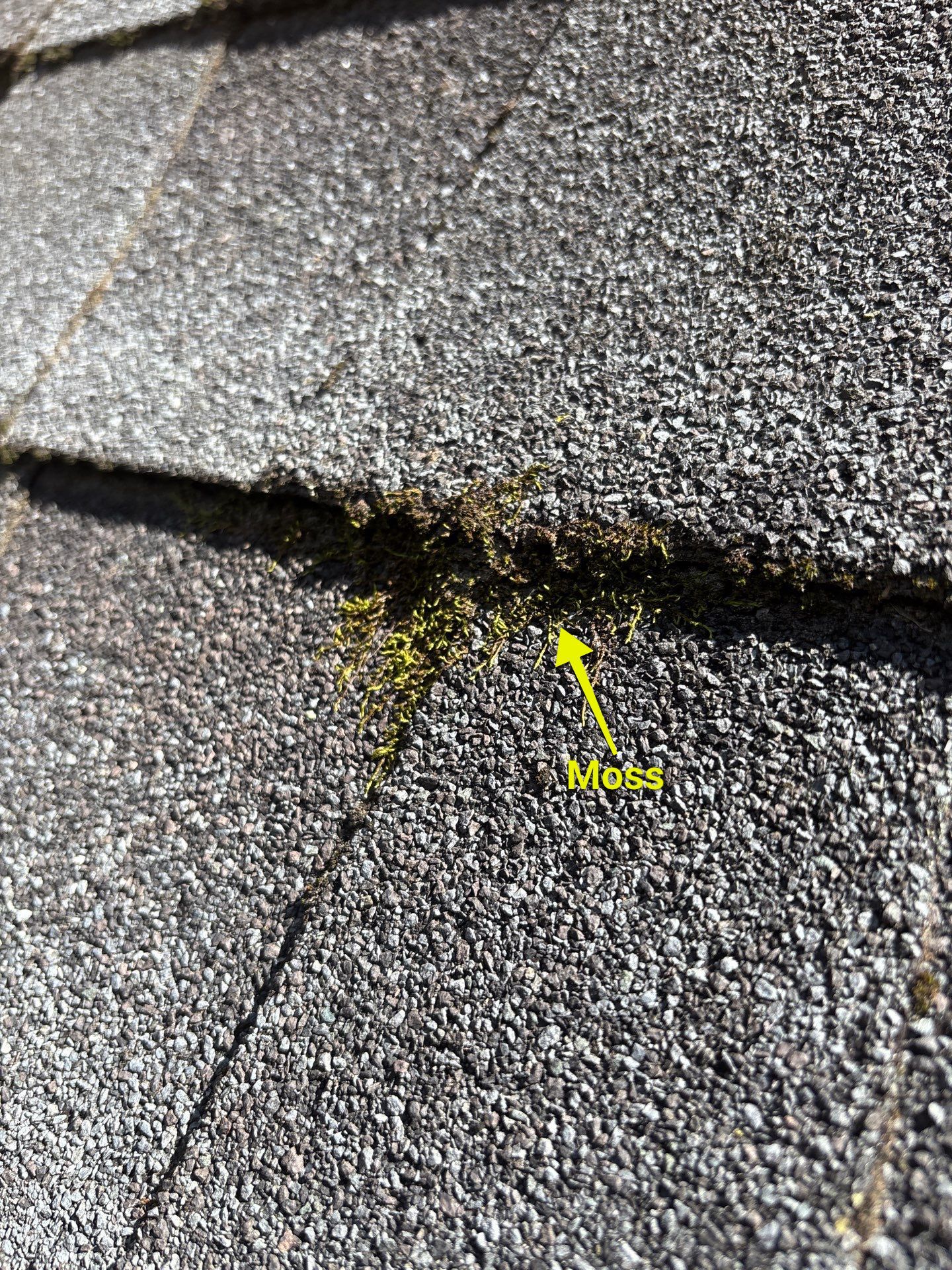 Project in Henrico by Roof Maxx of Midlothian