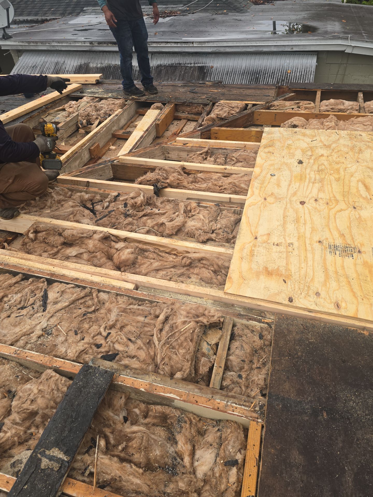 Project in St. Petersburg 33712 by Mitchell Roofing Company LLC 