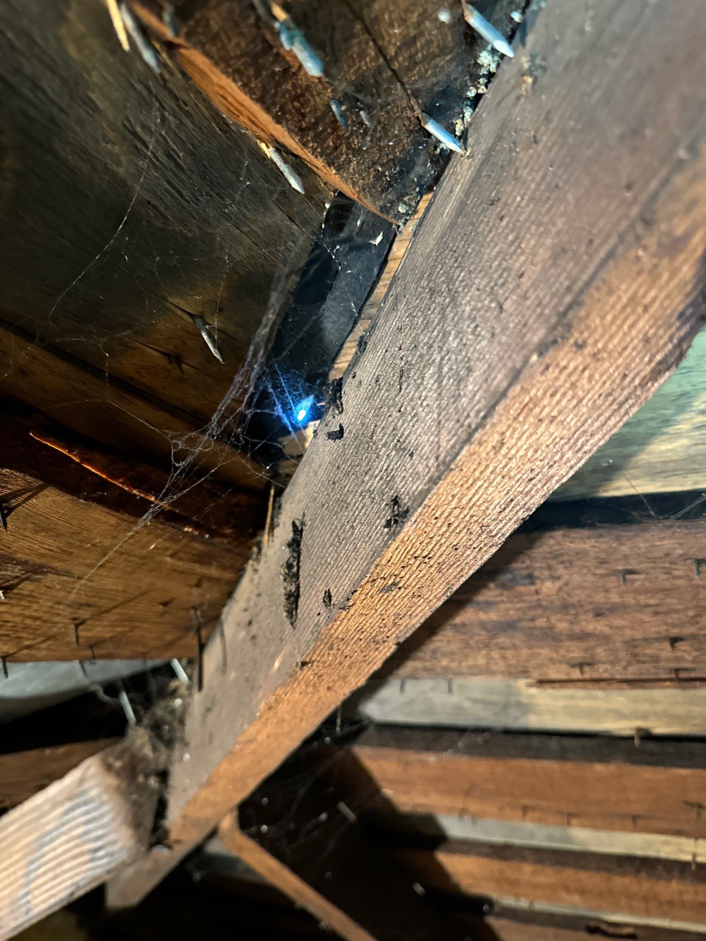 Project in Everett by Peaks and Valleys Construction