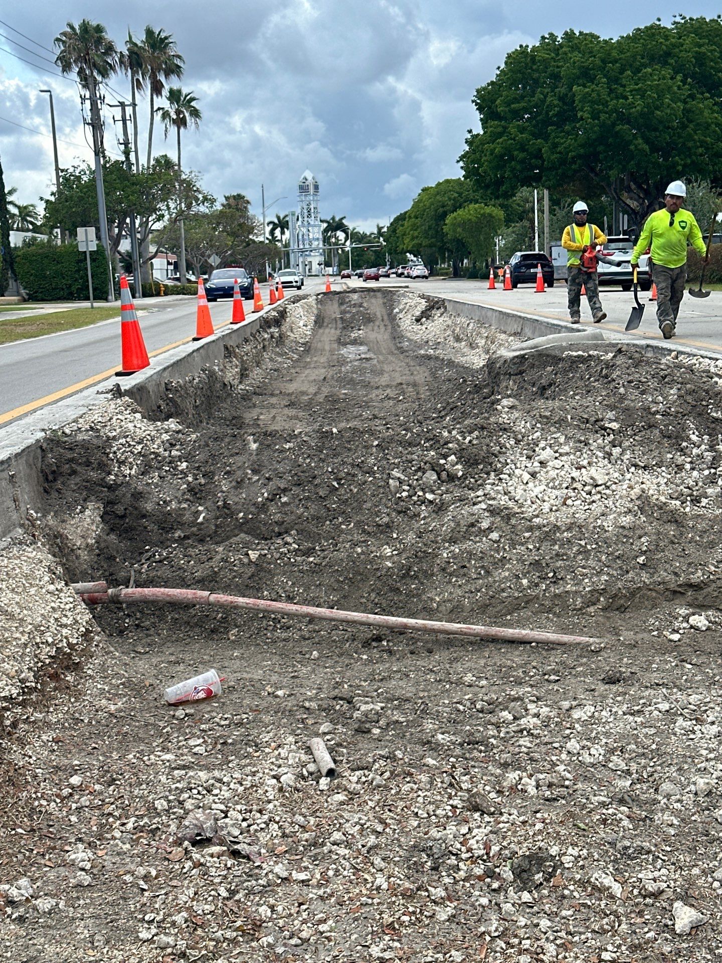 Pinecrest Median - New Native Landscape by Nature's Dream by Nature's Dream Landscape and Tree Service