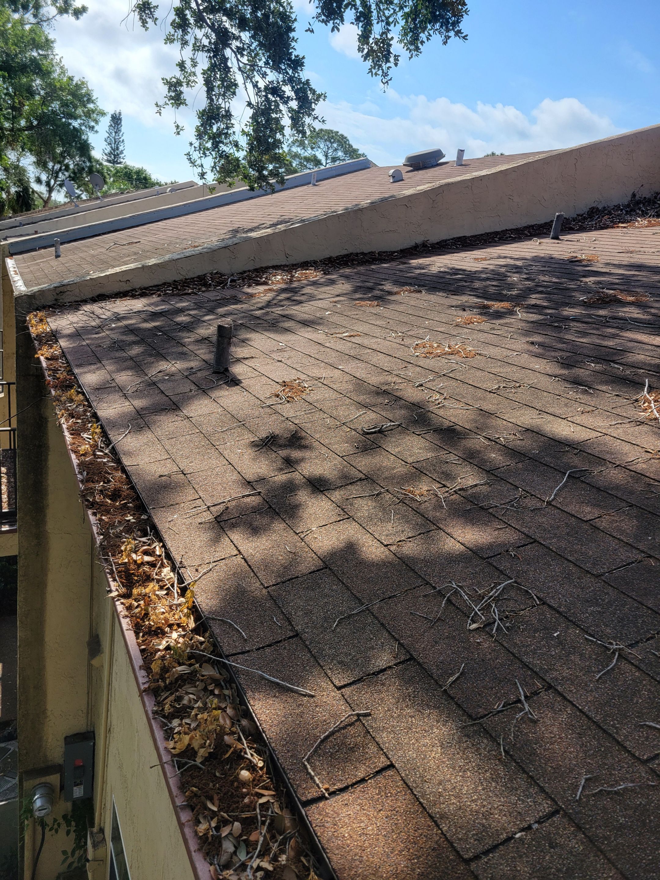 Gutter Cleaning and Inspection in Tampa FL by Gutter Professors