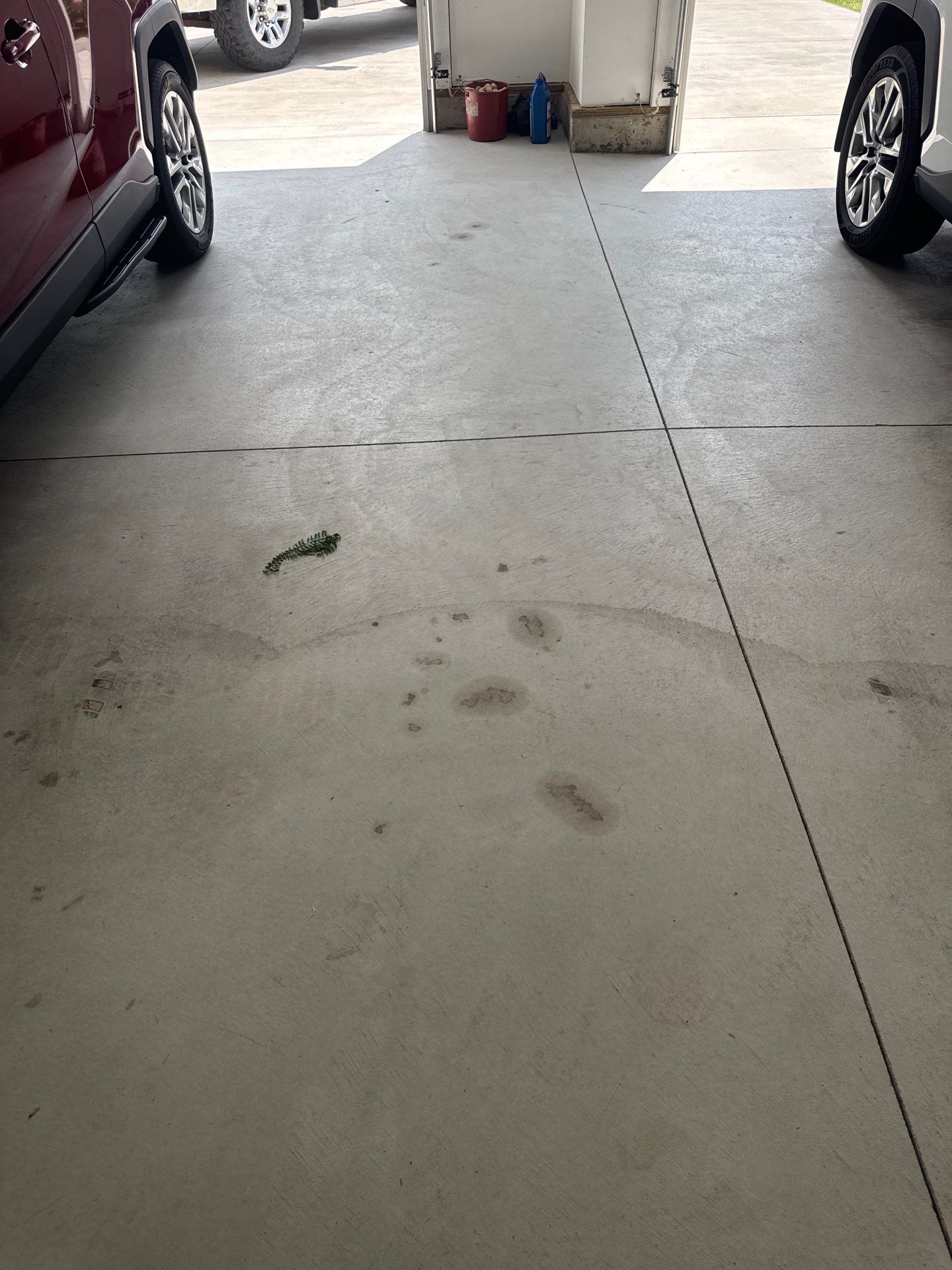 Custom Gray and White Epoxy Flake Garage Floor Installation by Gordon Painting