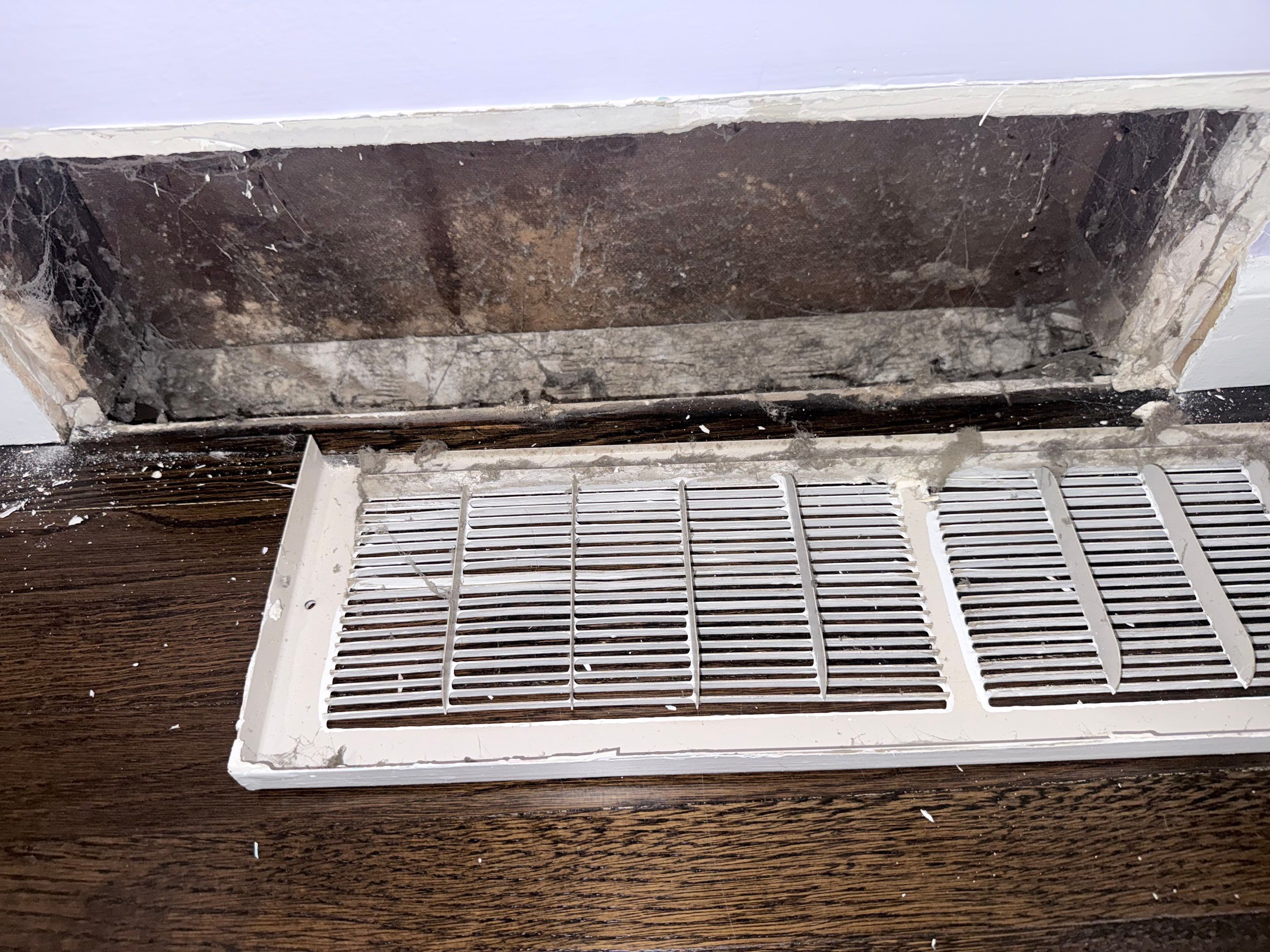 HVAC Duct Cleaning and Debris Extraction by Fox Hill Luxury Real Estate Services