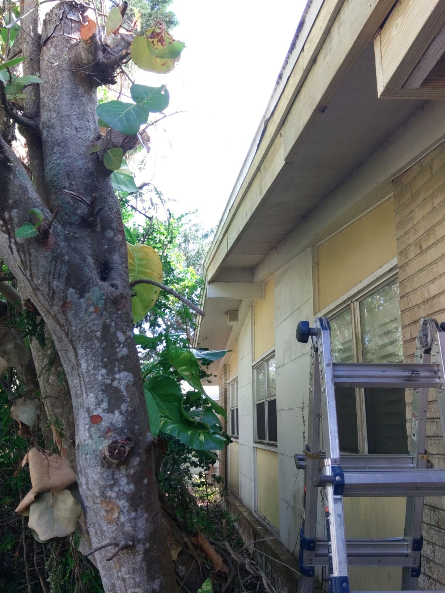 Gutter and Fascia Repair and Maintenance in Siesta Key FL by Gutter Professors