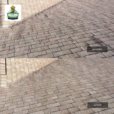 Residential Roof Cleaning in Hunters Creek