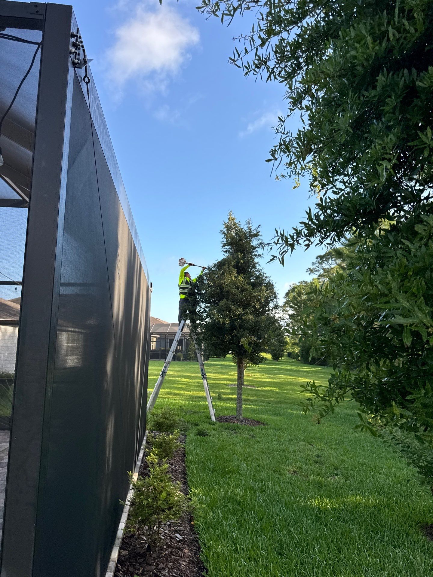 Residential | Topsoil Install & Tree Trimming by ProGreen Services