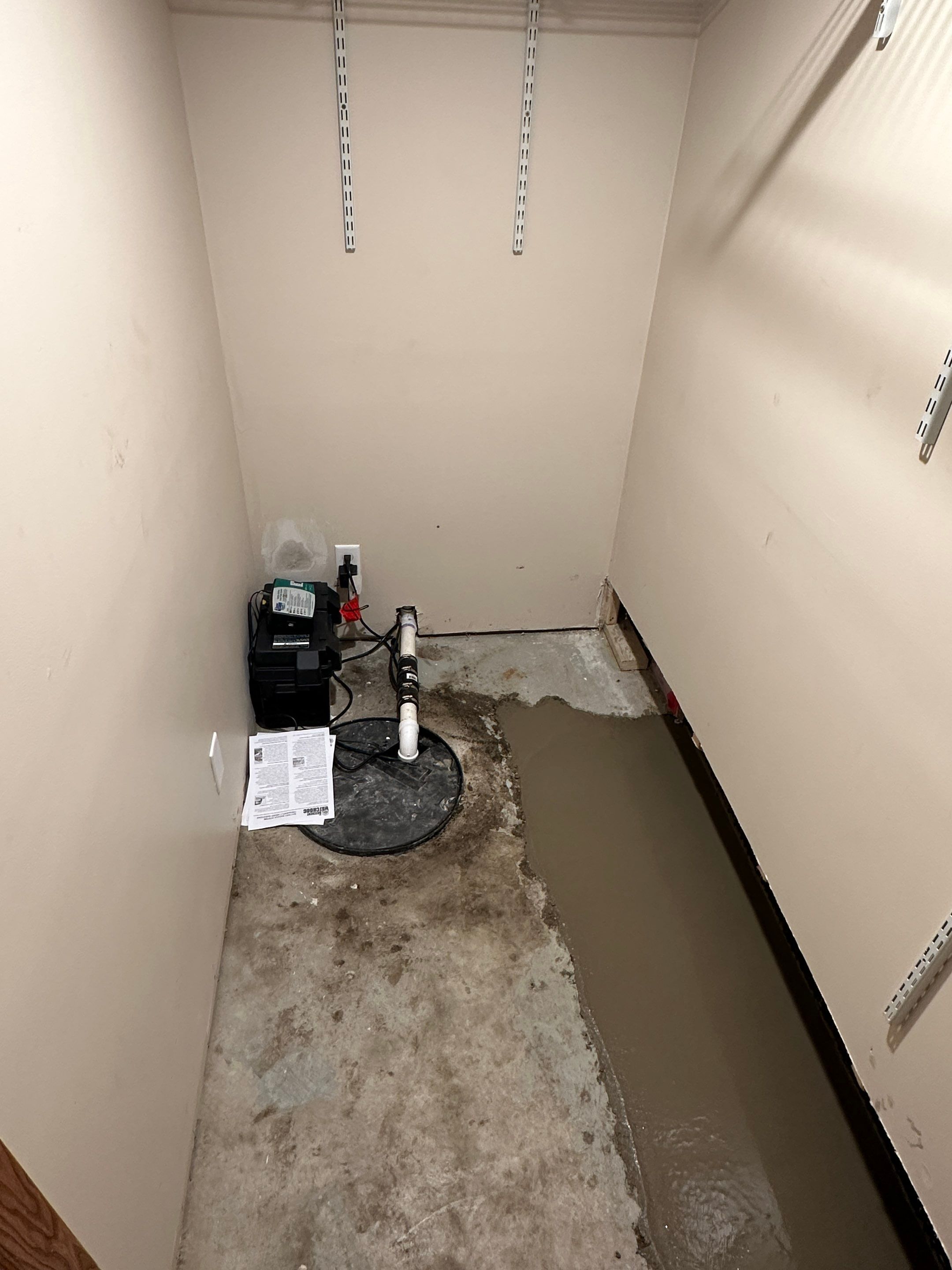Peace of Mind for Molly’s New Home by Waterproofing Northeast