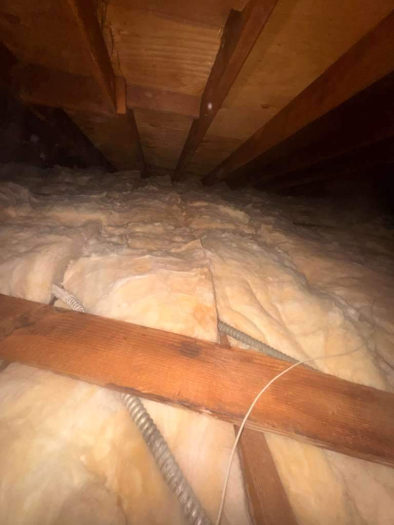 Project by Advanced Attic Solutions by Advanced Attic Solutions