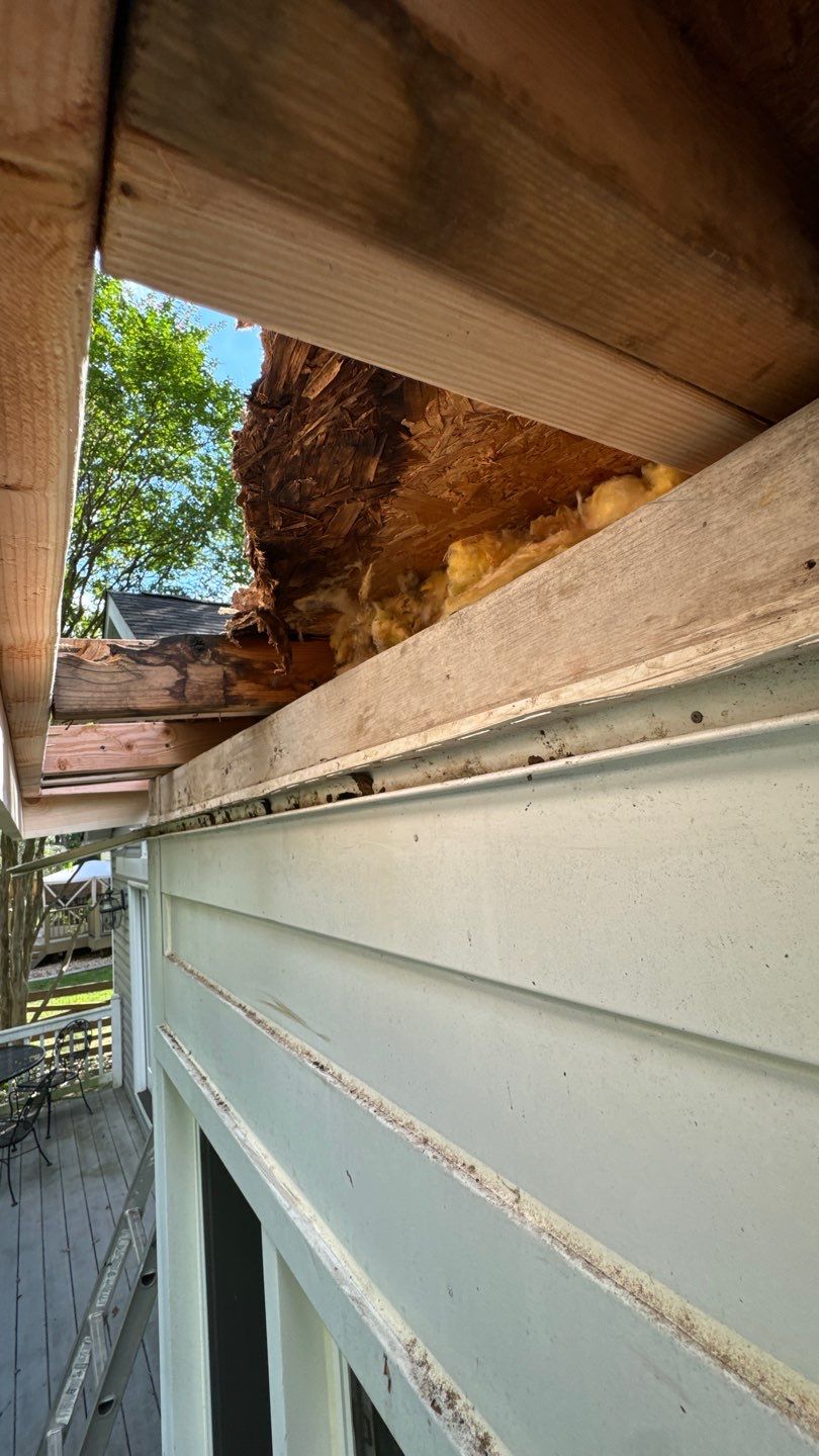 Alexandria: Residential Flat Roof Replacement with MuleHide TPO by RM Banning, Inc.