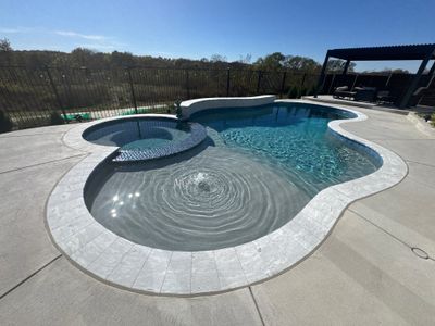 Freeform Pool with Raised Spa and Tanning Ledge