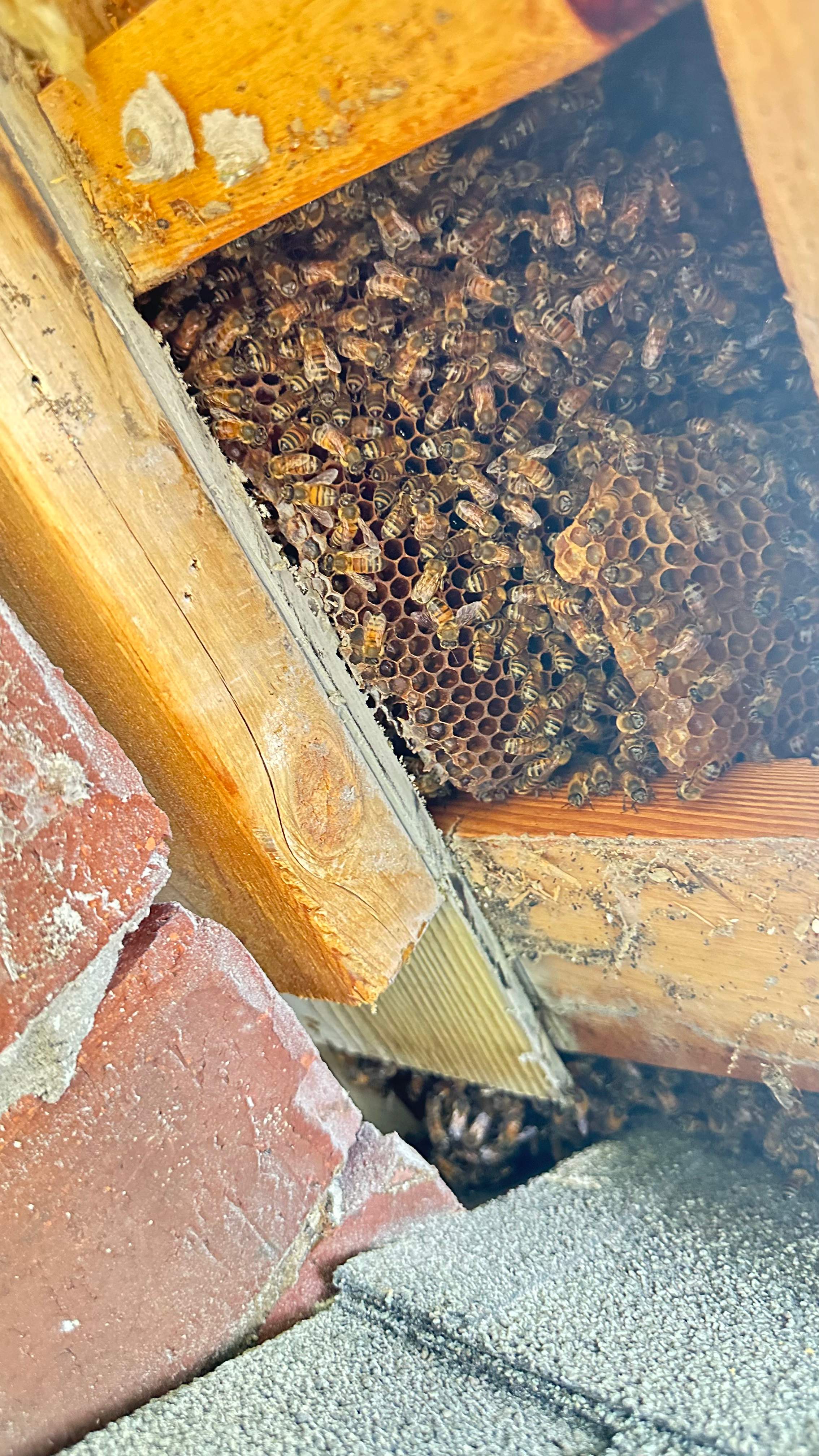 Skinny Space by Rockwall Honey Bee Company