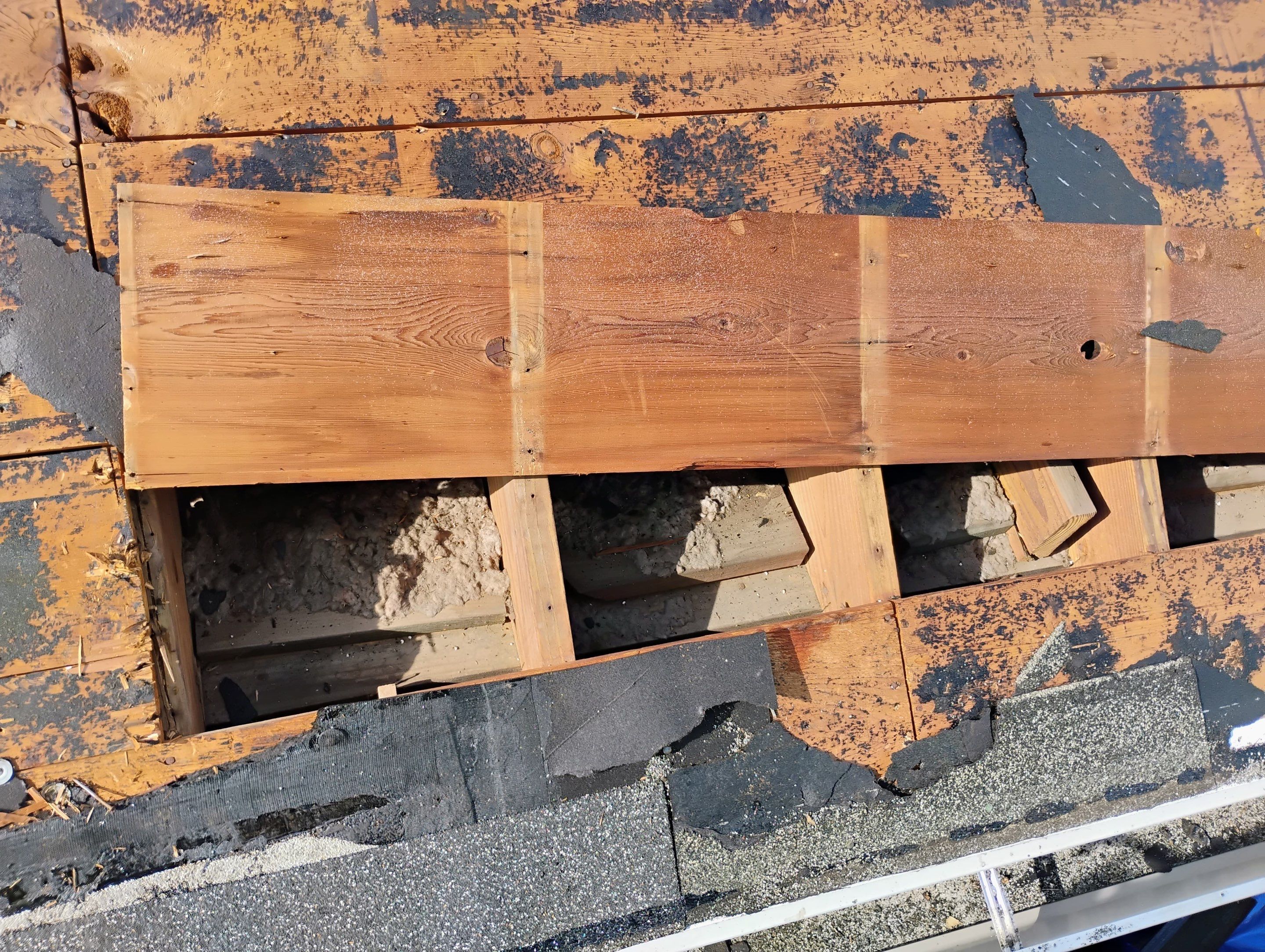 Project in St. Petersburg 33712 by Mitchell Roofing Company LLC