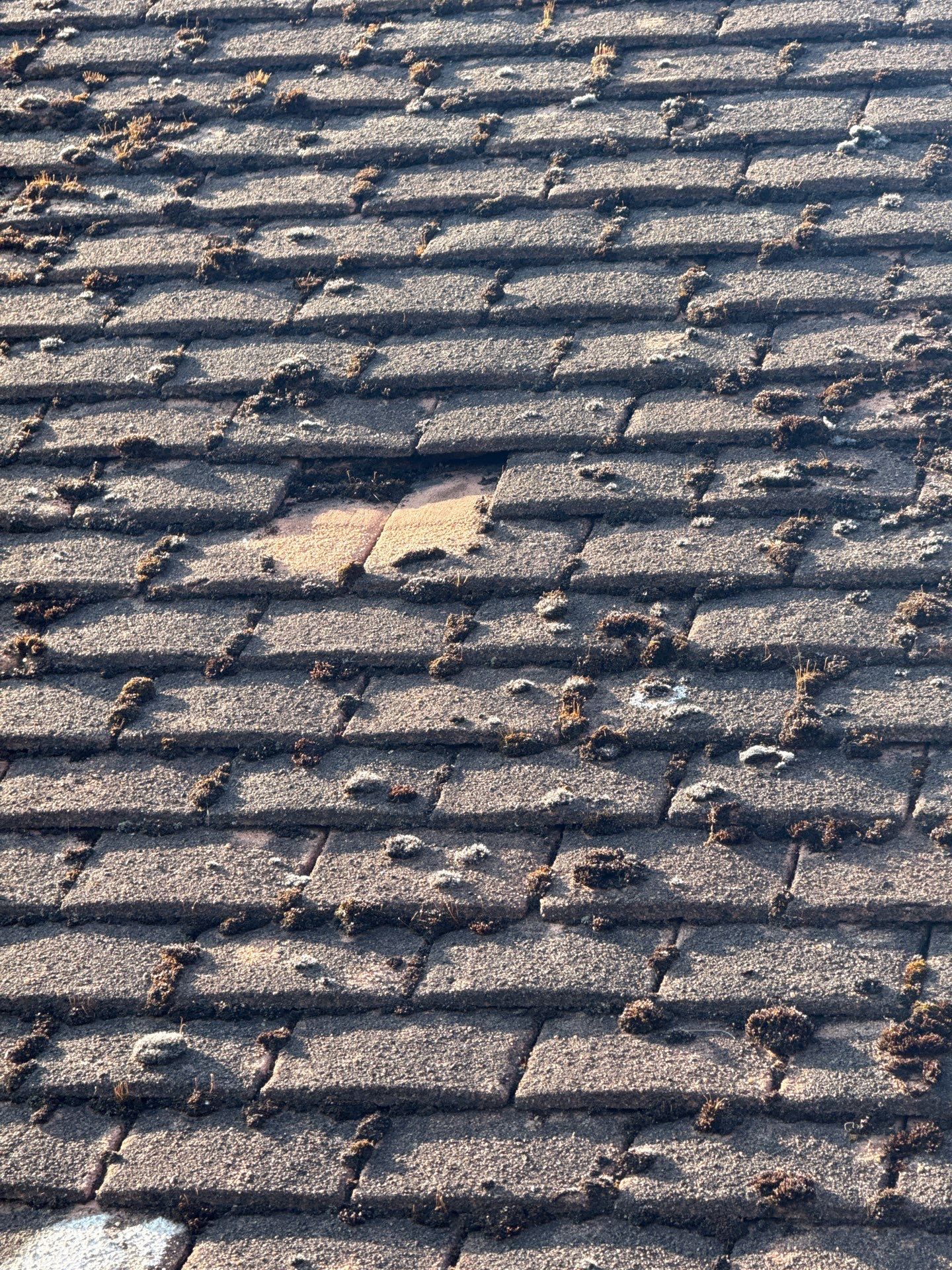 Roof Clean - Gutter Clean - Biocide Treatment by Ges Exterior Cleaning ltd